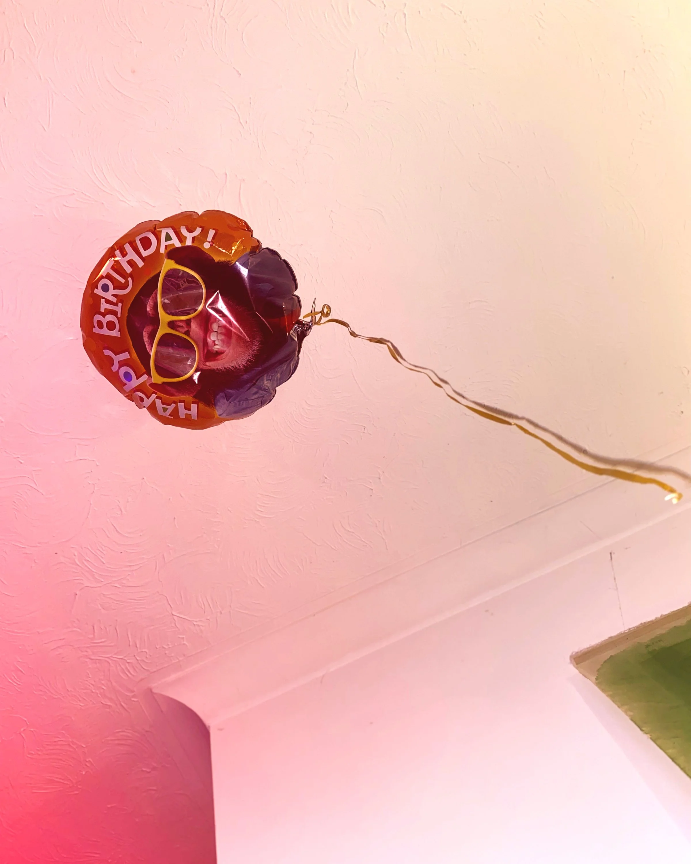 BIRTHDAYMONKEY_edited.jpg