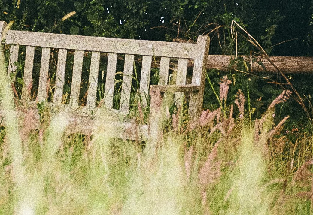 bench.jpg