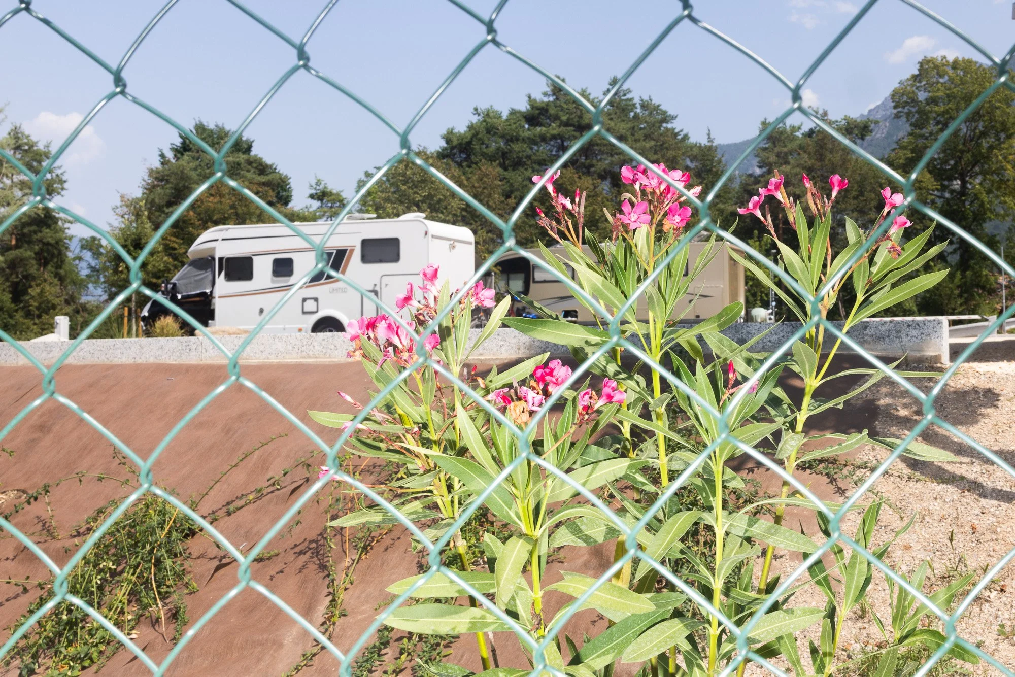 Fenced Van.jpg