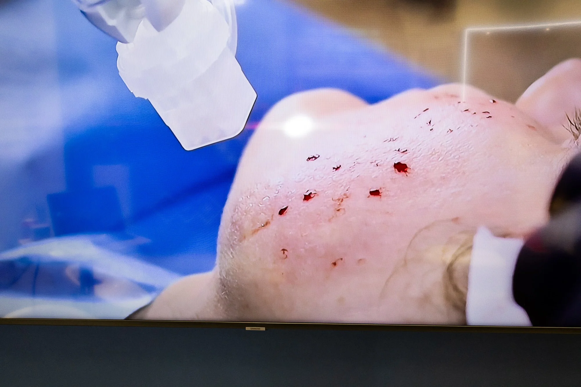 ACE 13_desktop_web.jpg