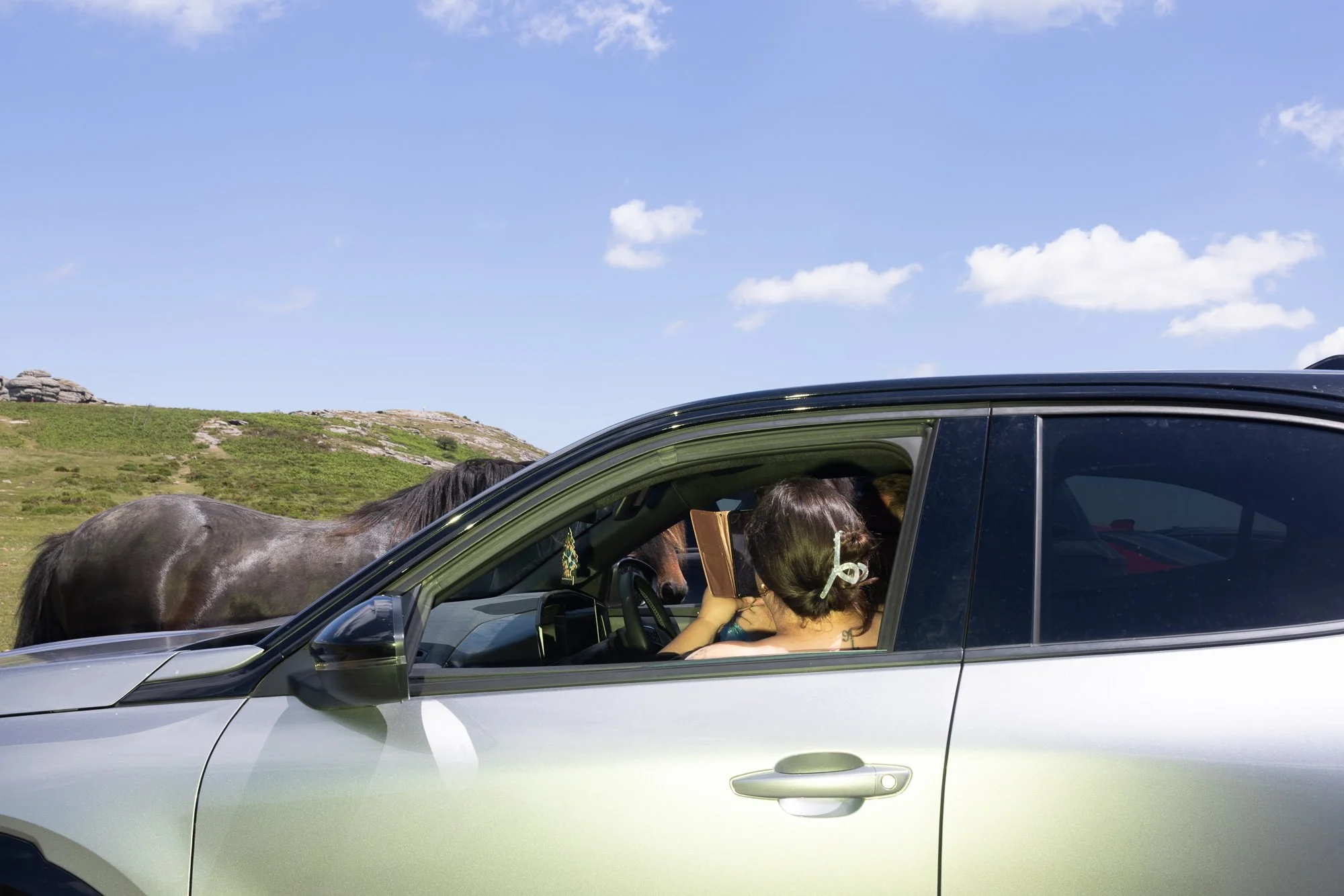 Horse and car.jpg