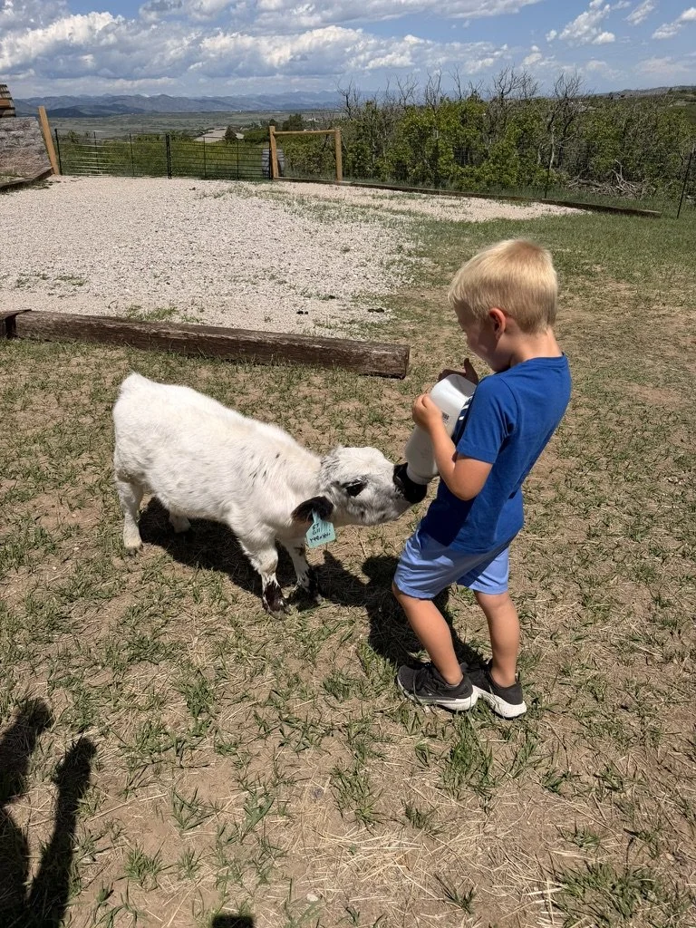 Story Time on the Farm