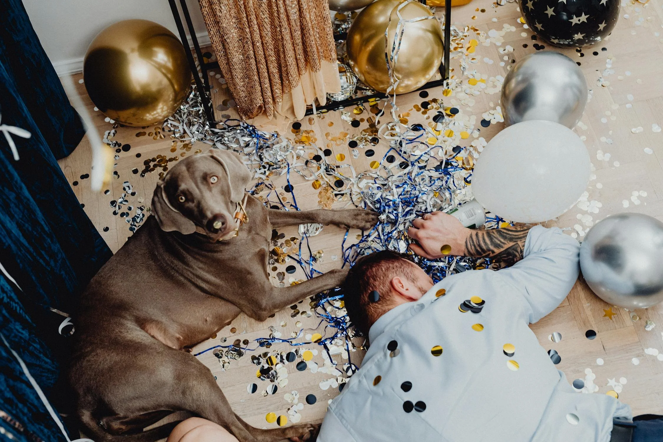 Holy Re-Entry! The Vegas Hangover &amp; The DOIN&nbsp;Audit