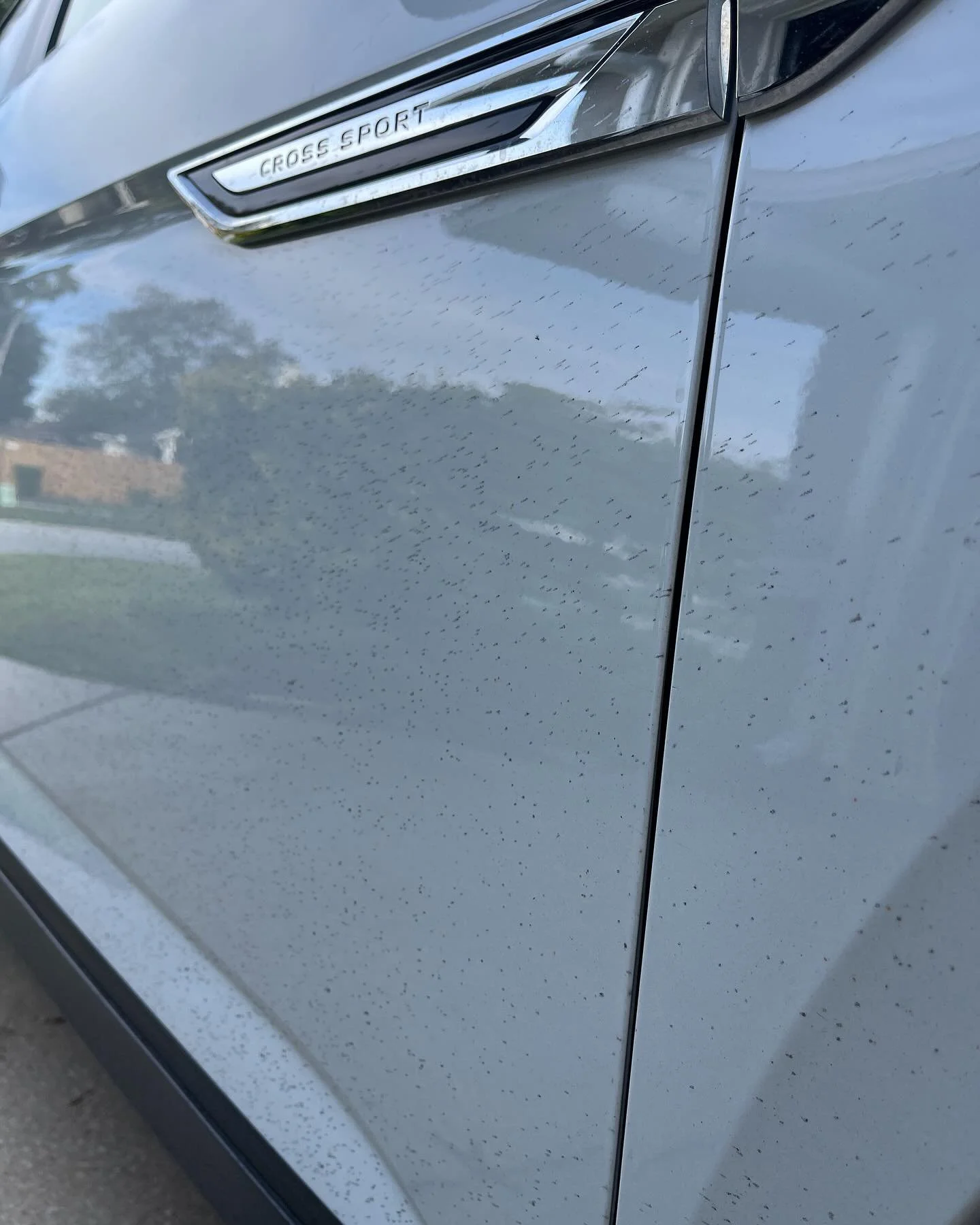 Full interior &amp; exterior detail on VW atlas