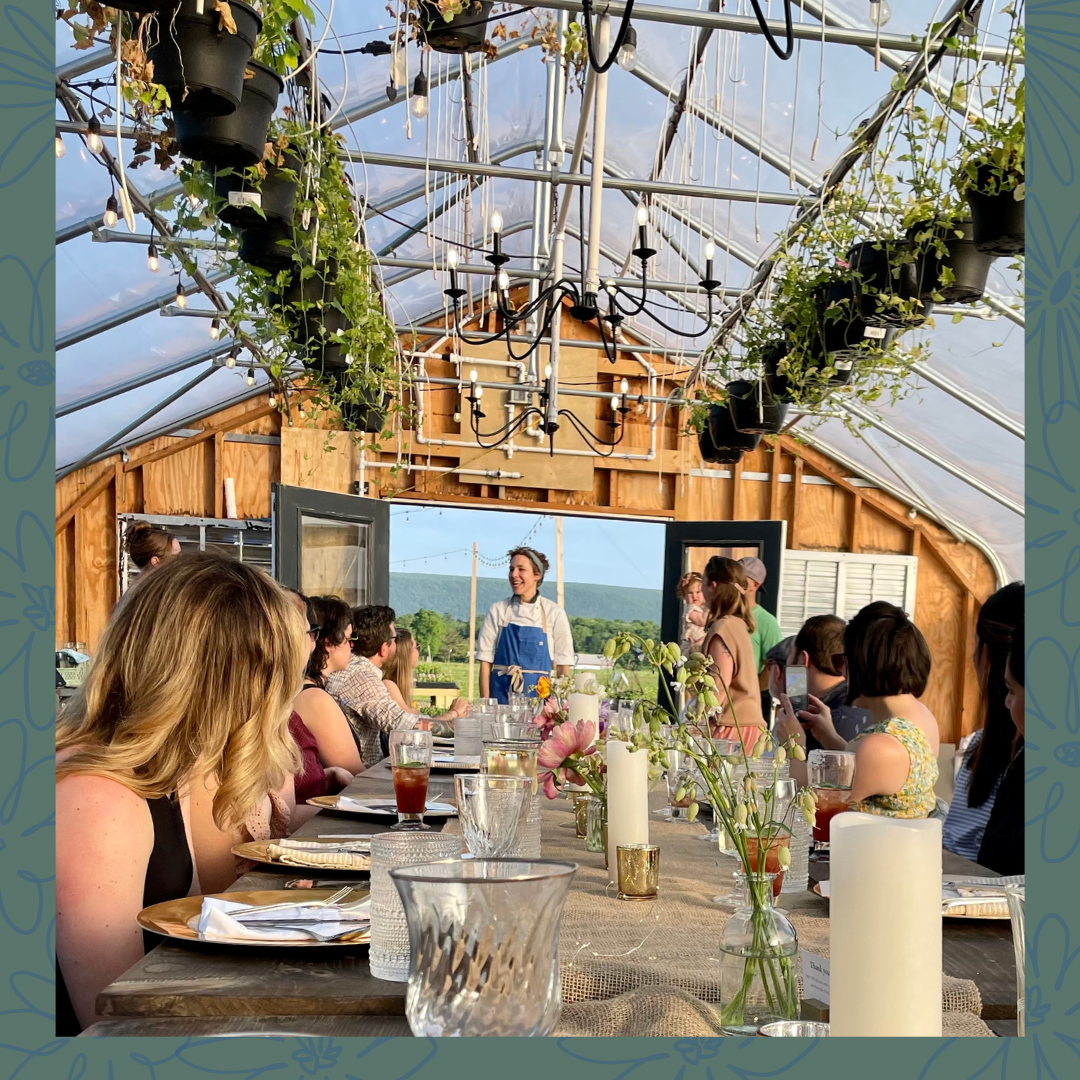 Untitled design - 1.PNG