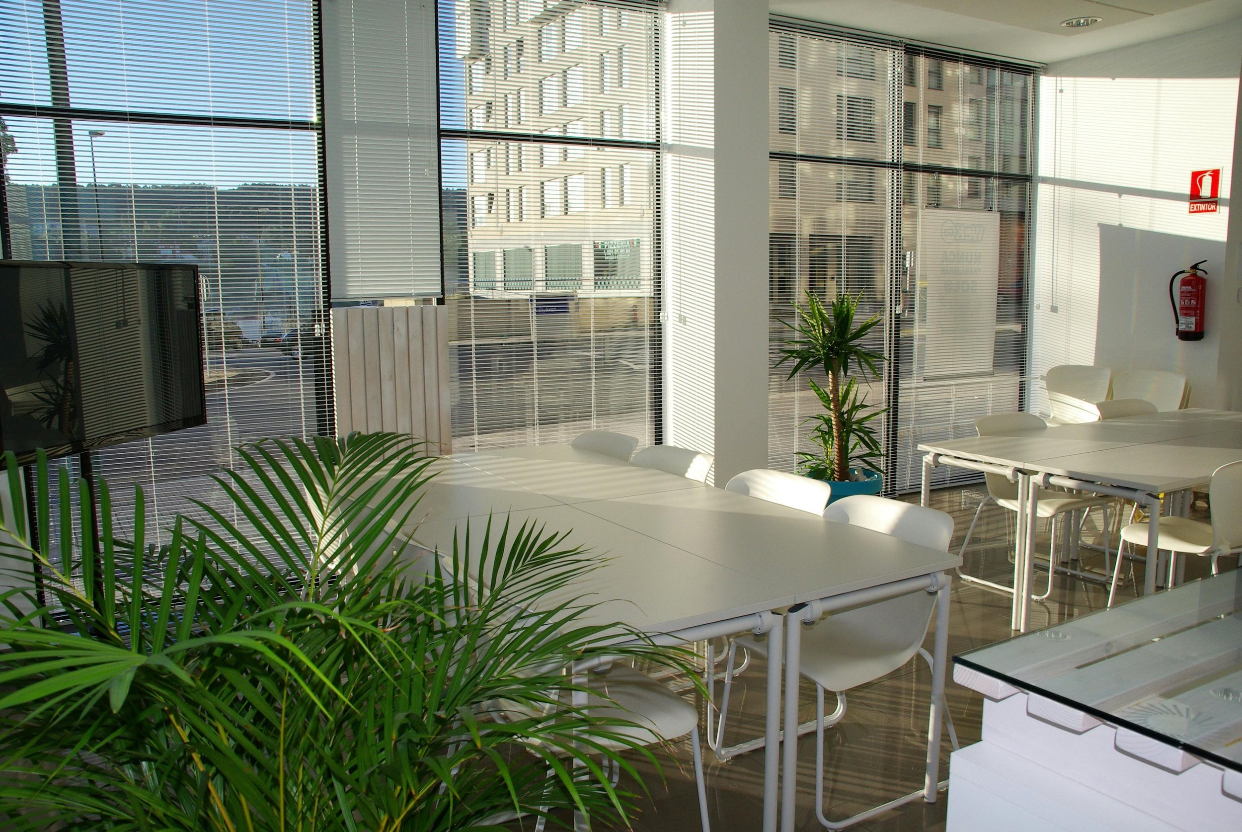 An office conference room with white tables and chairs, large floor-to-ceiling windows with blinds, potted plants, and a flat-screen TV on the wall.