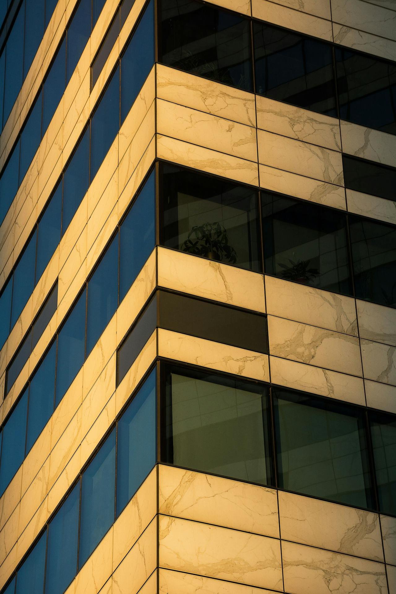 More Than Just a Photo Building Trust Through Real Estate Images