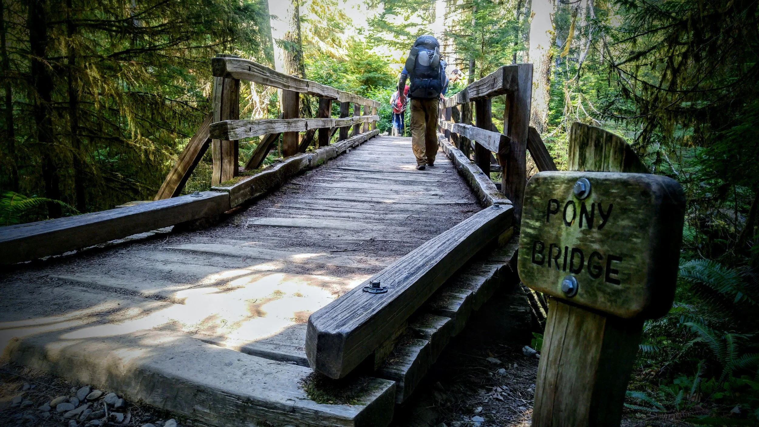 Group of men hiking across a bridge in the woods