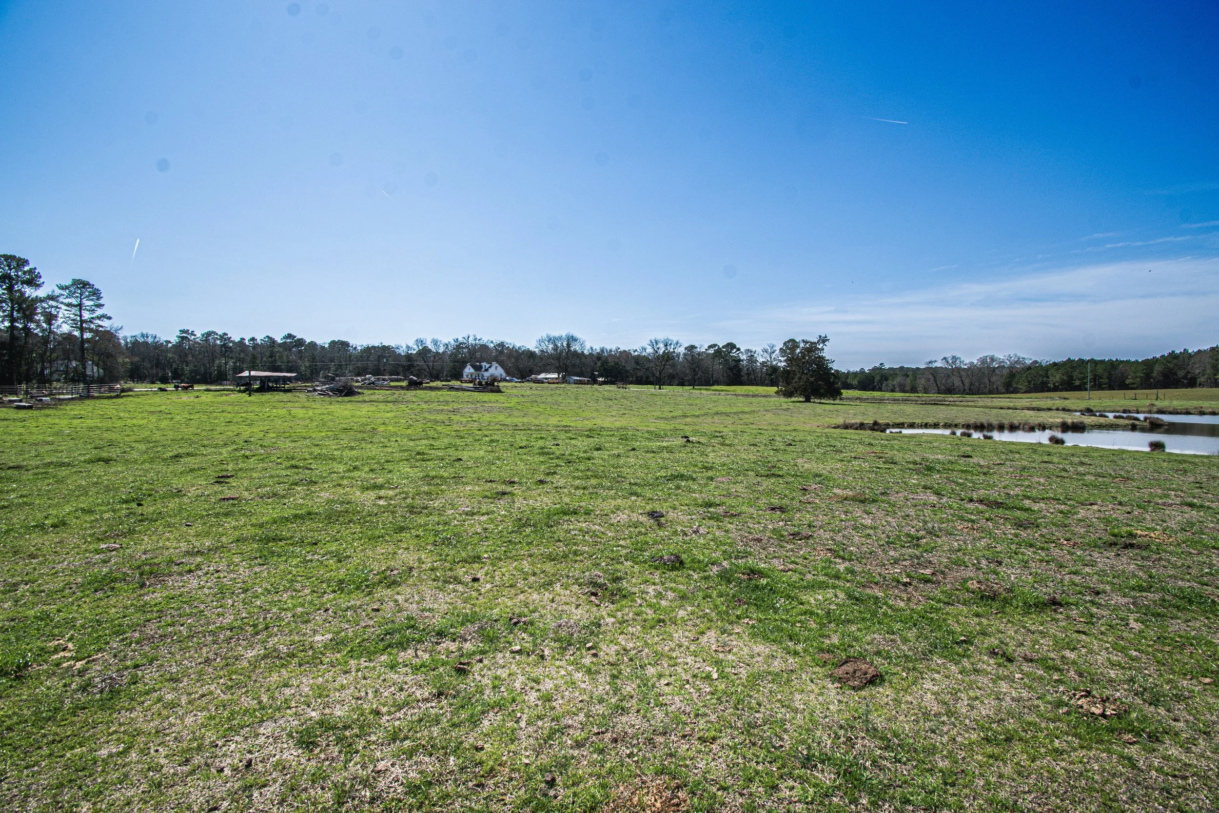 Beautiful Farm land in Irmo, SC