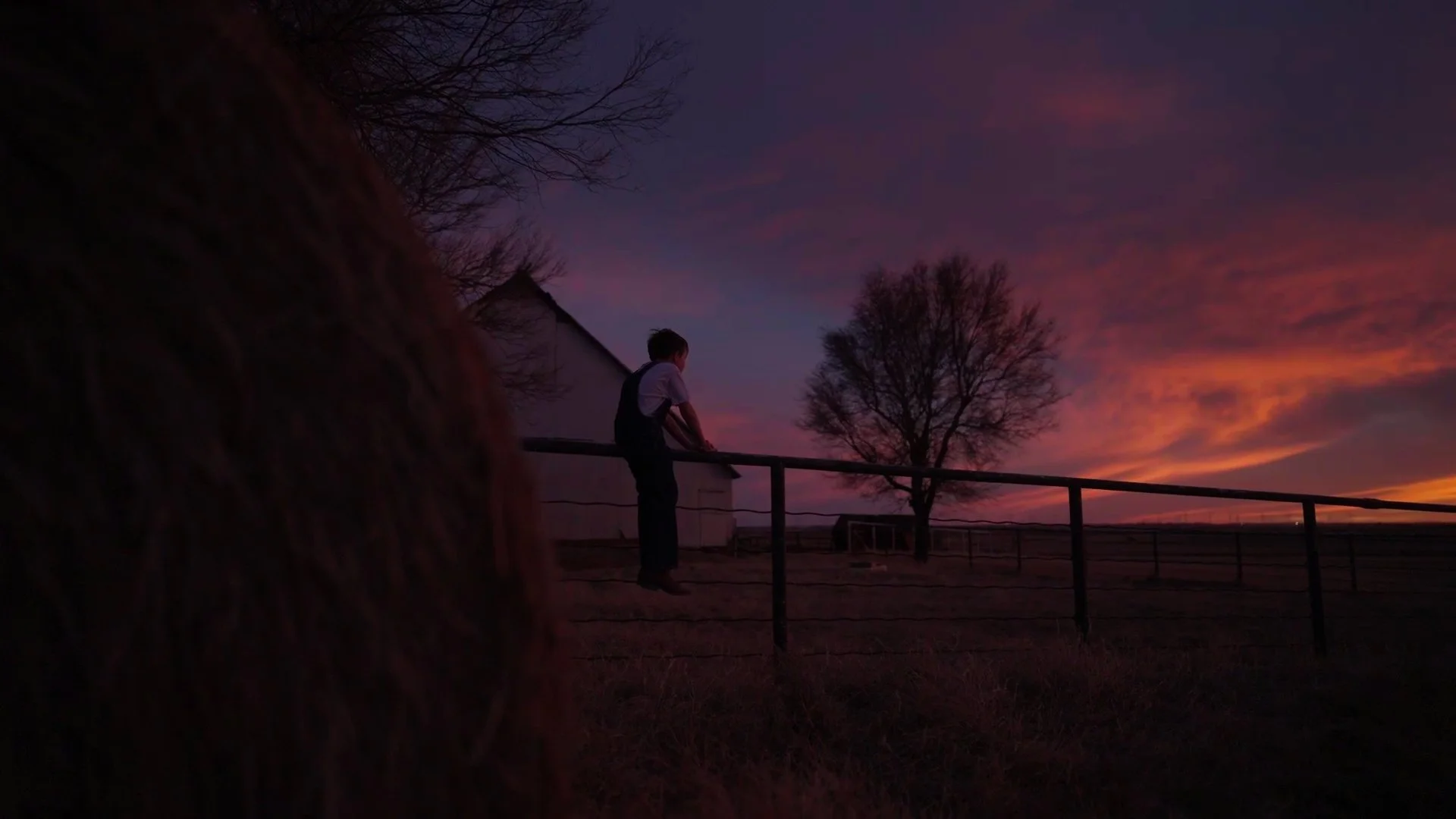 Still 2026-02-17 155447_3.45.1.jpg