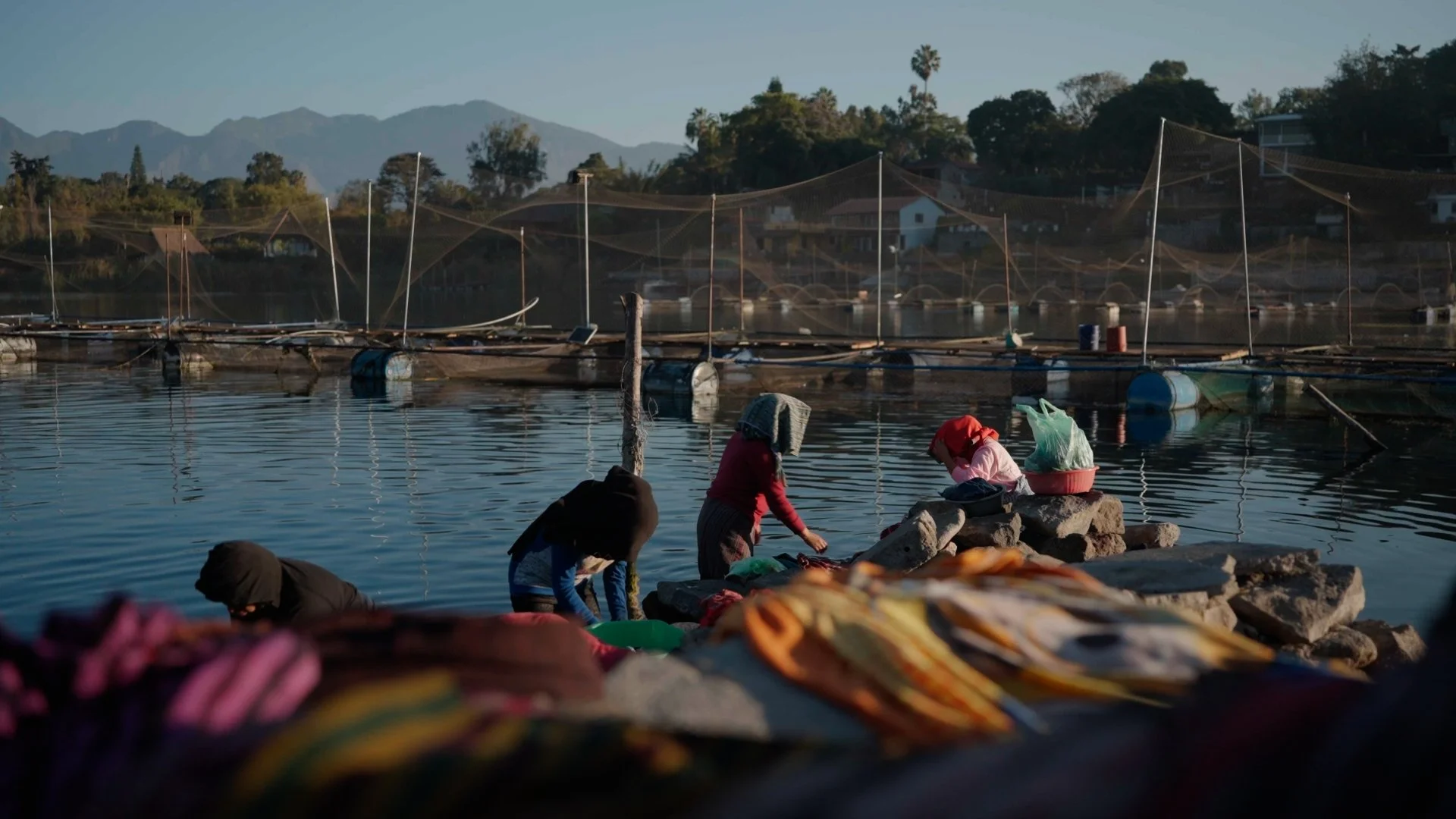 Still 2026-02-17 155334_2.8.1.jpg