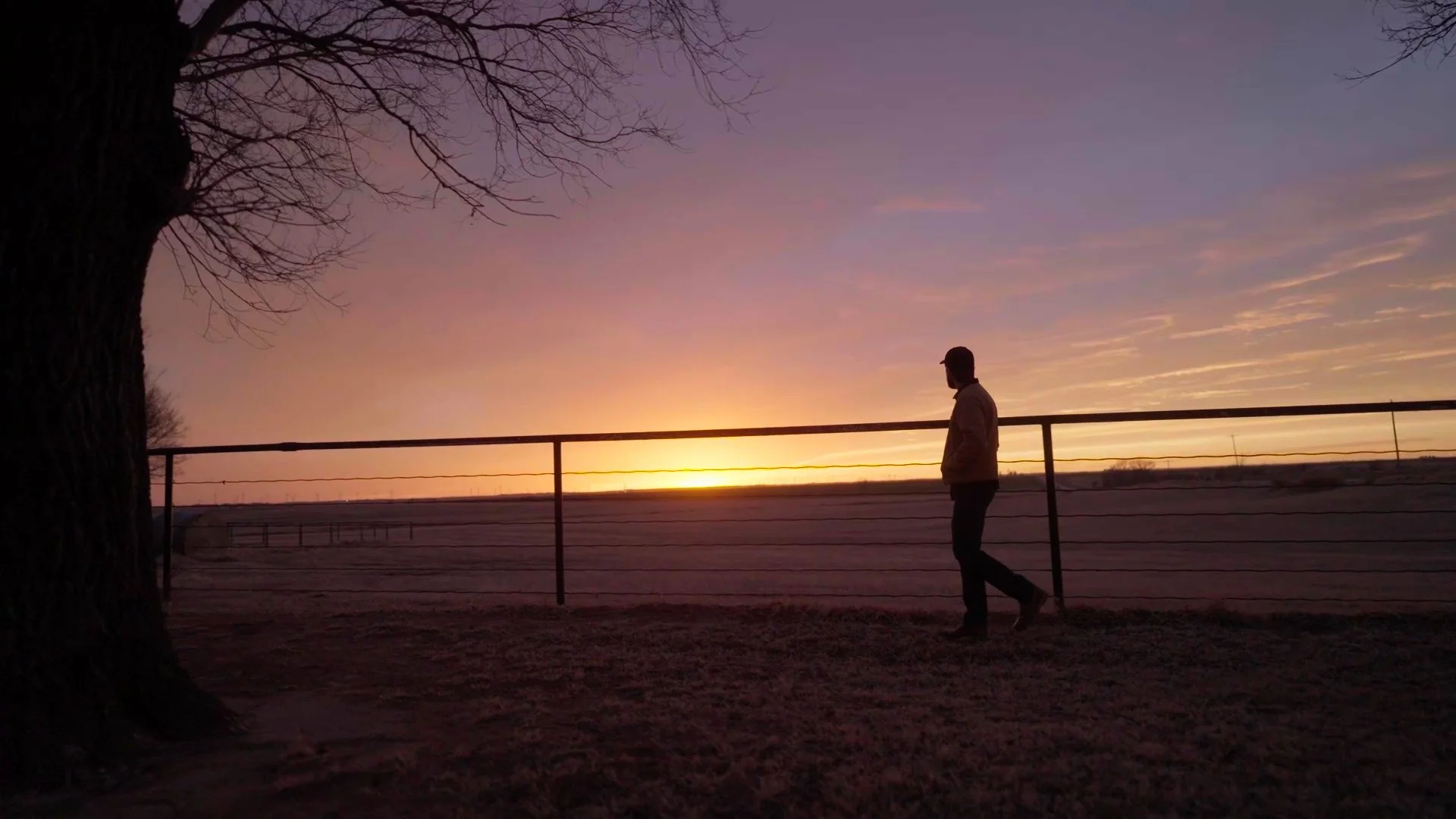 Still 2026-02-17 144715_5.1.2.jpg