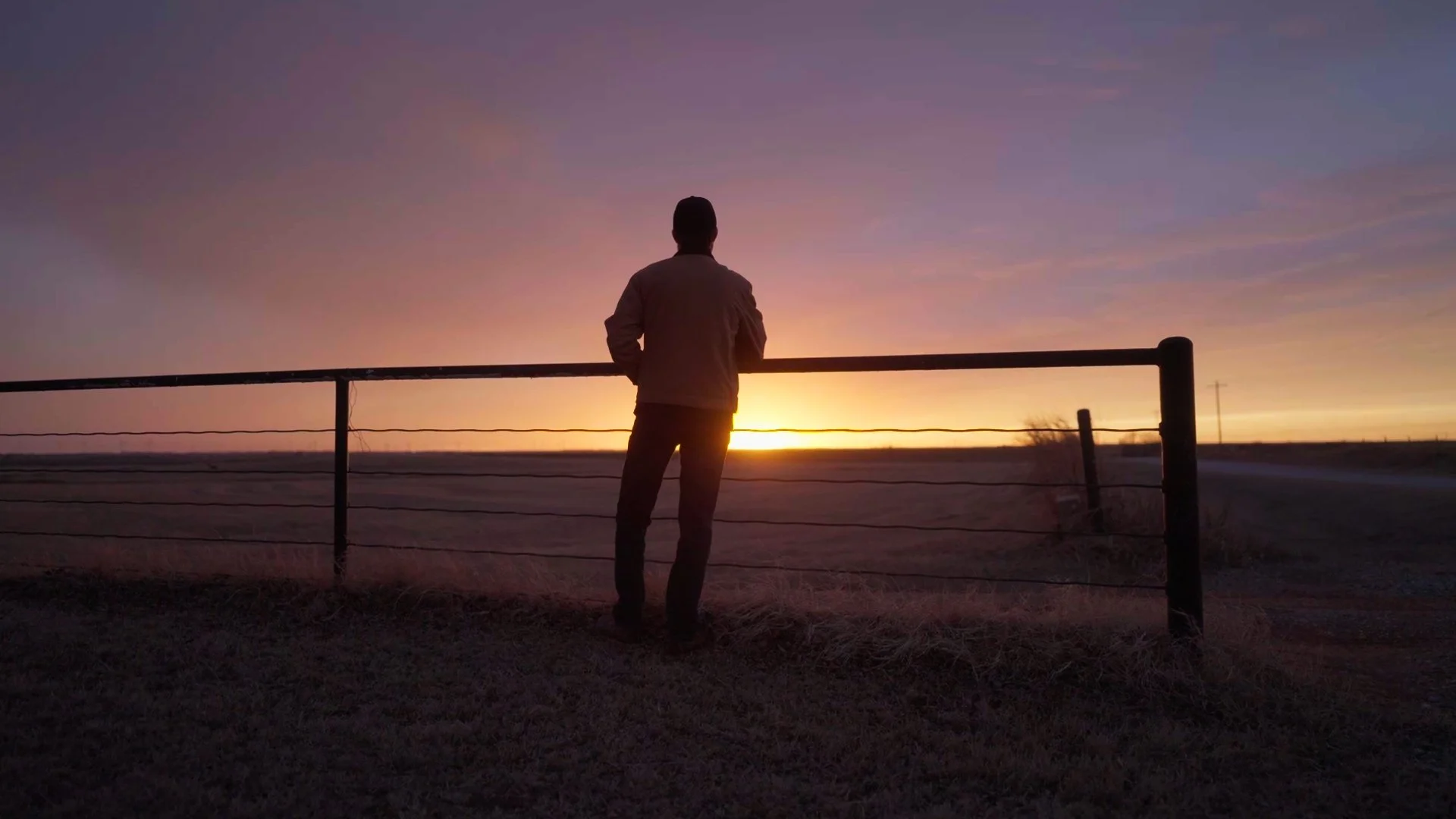 Still 2026-02-17 144742_3.16.1.jpg