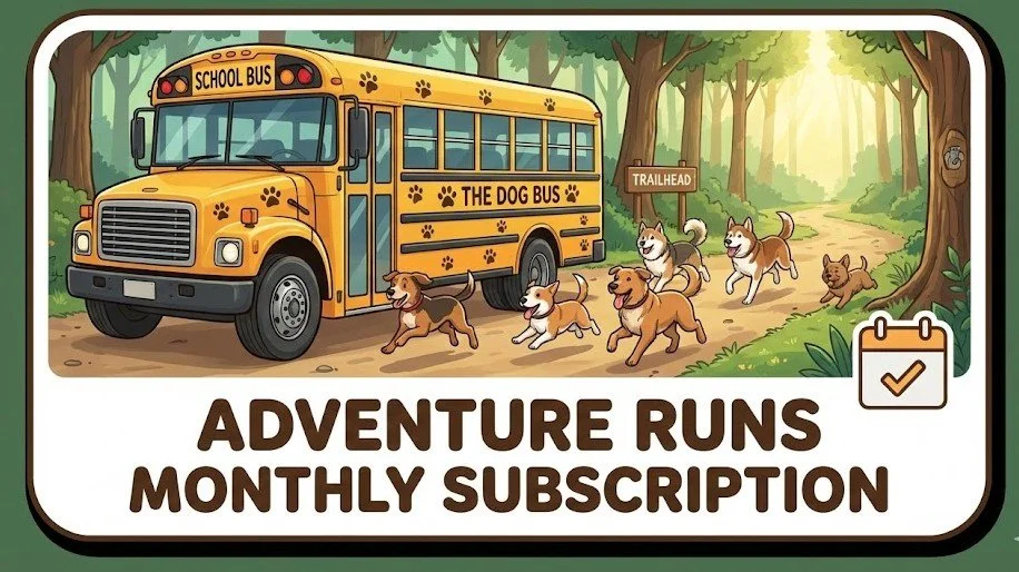 Monthly Adventure Run Subscription 3x's a week pick-up and drop-off following the Adventure Run!