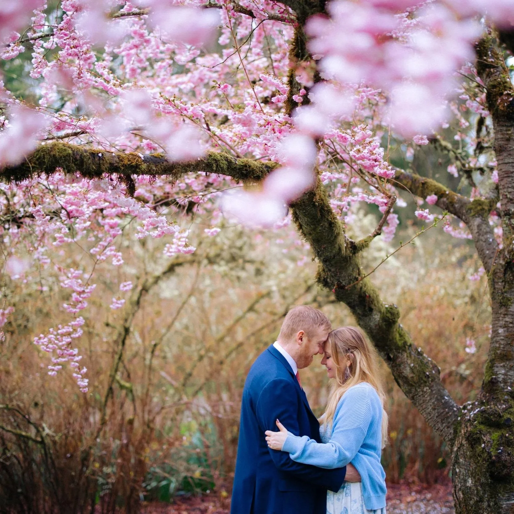 H&K Spring Blossoms Engagement at Washington Park Arboretum, Seattle, WA ⟶