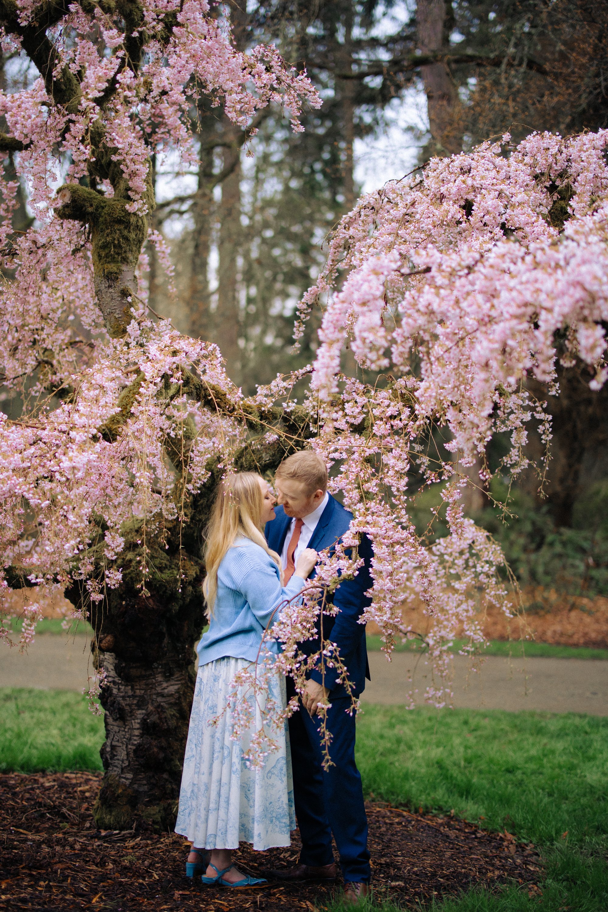 seattle-cherry-blossom-engagement -15.jpg