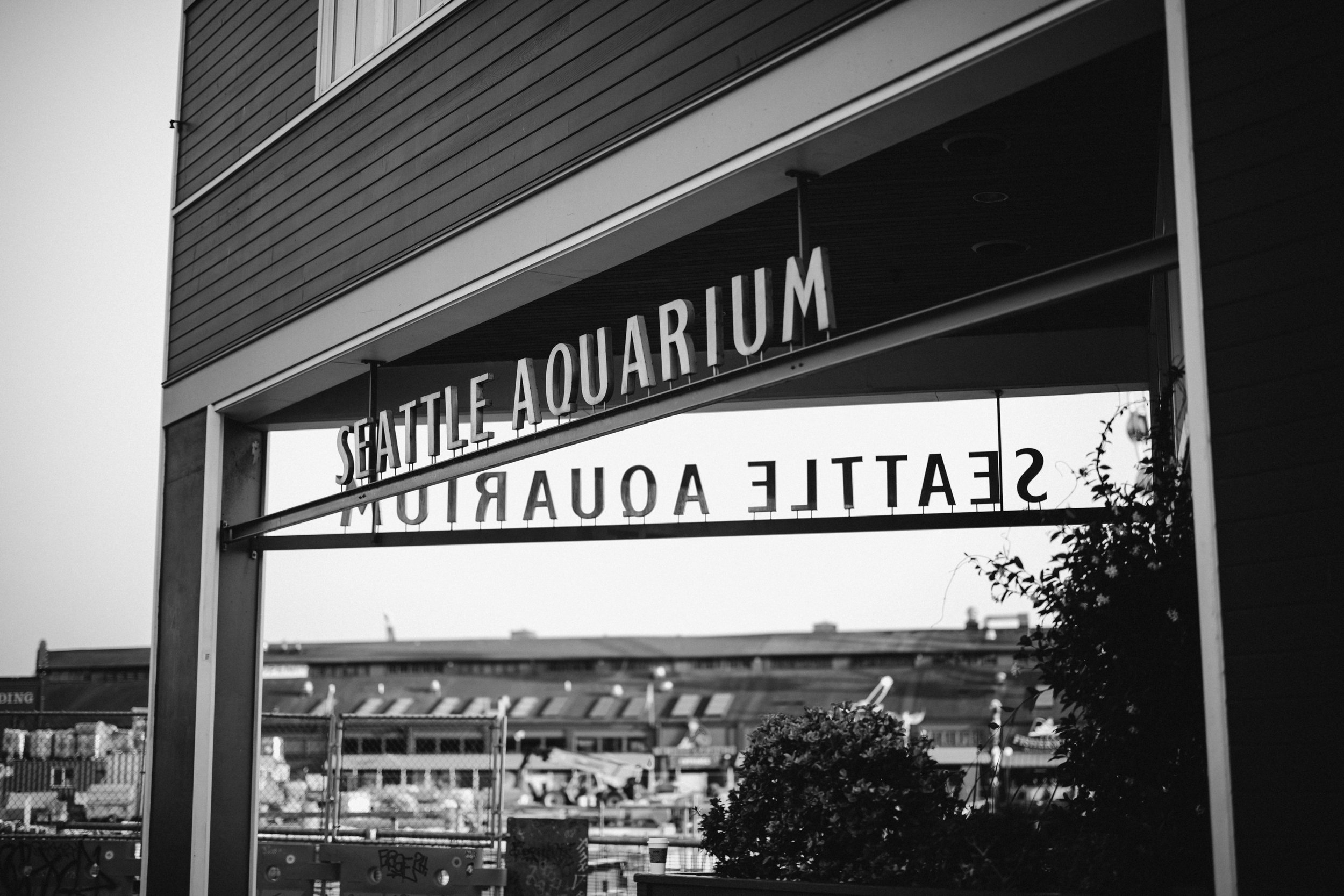 seattle-aquarium-wedding--27.jpg