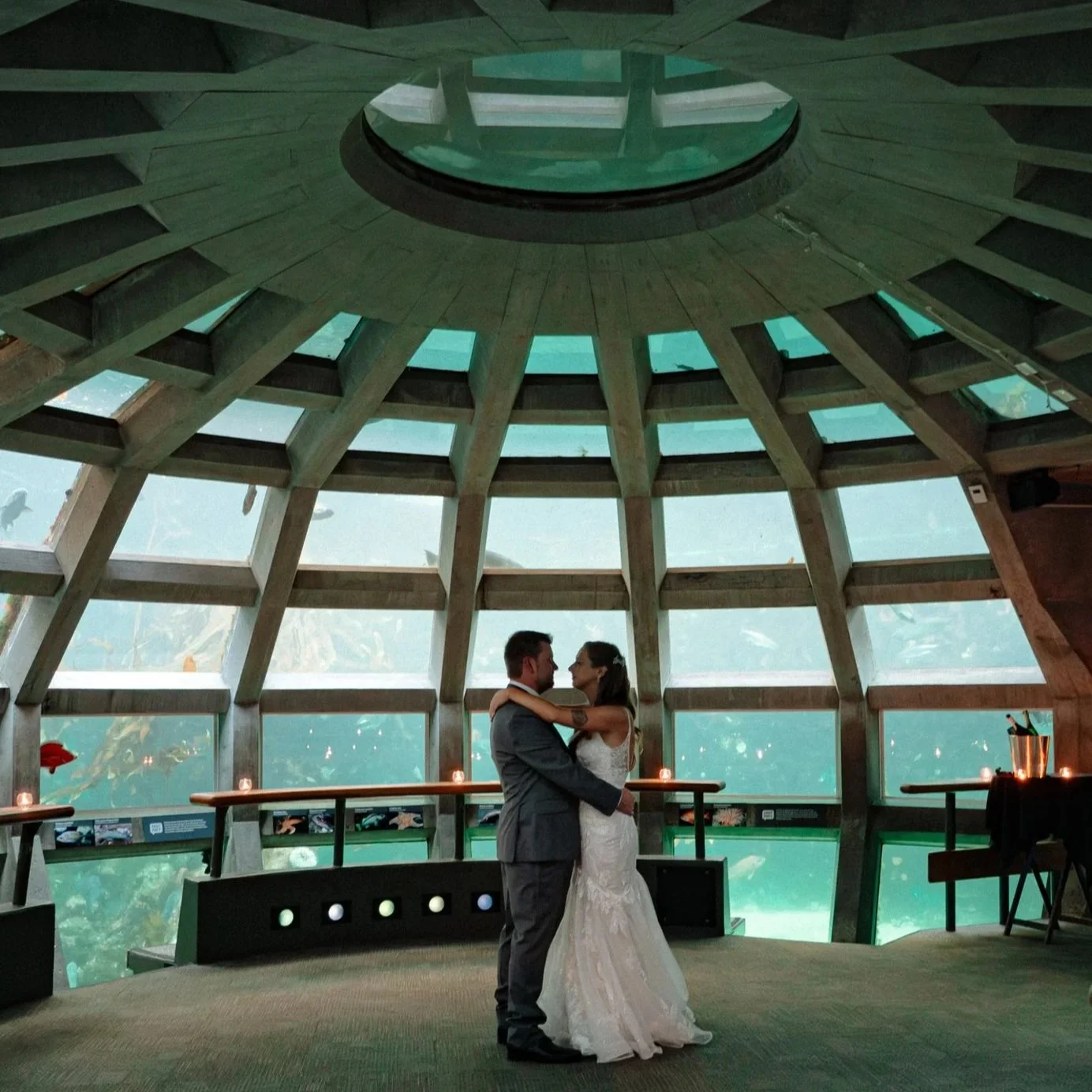 D&N Wedding – Seattle Aquarium, Seattle, WA ⟶