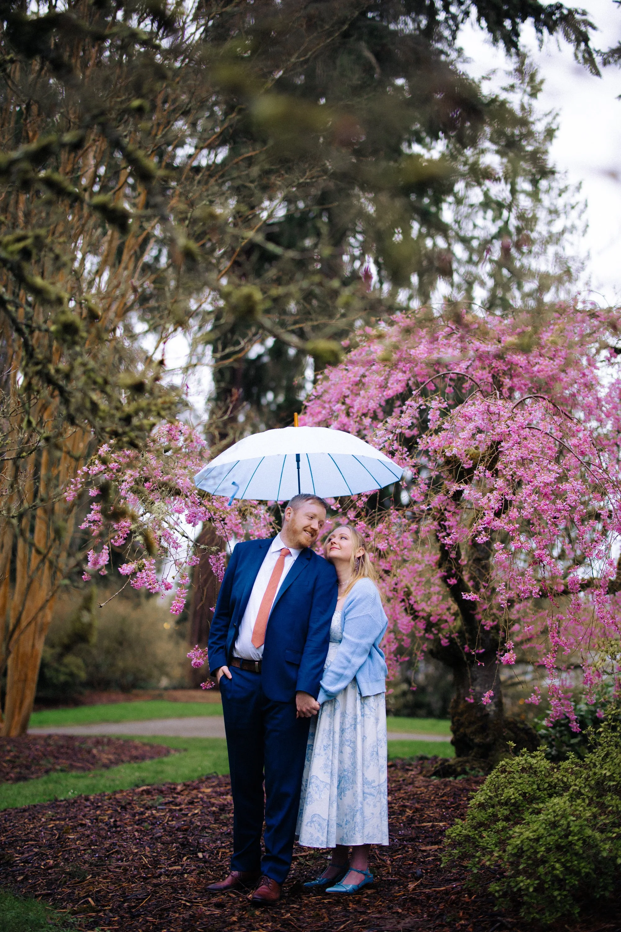 Cherry Blossoms Engagement and Proposal Sessions
