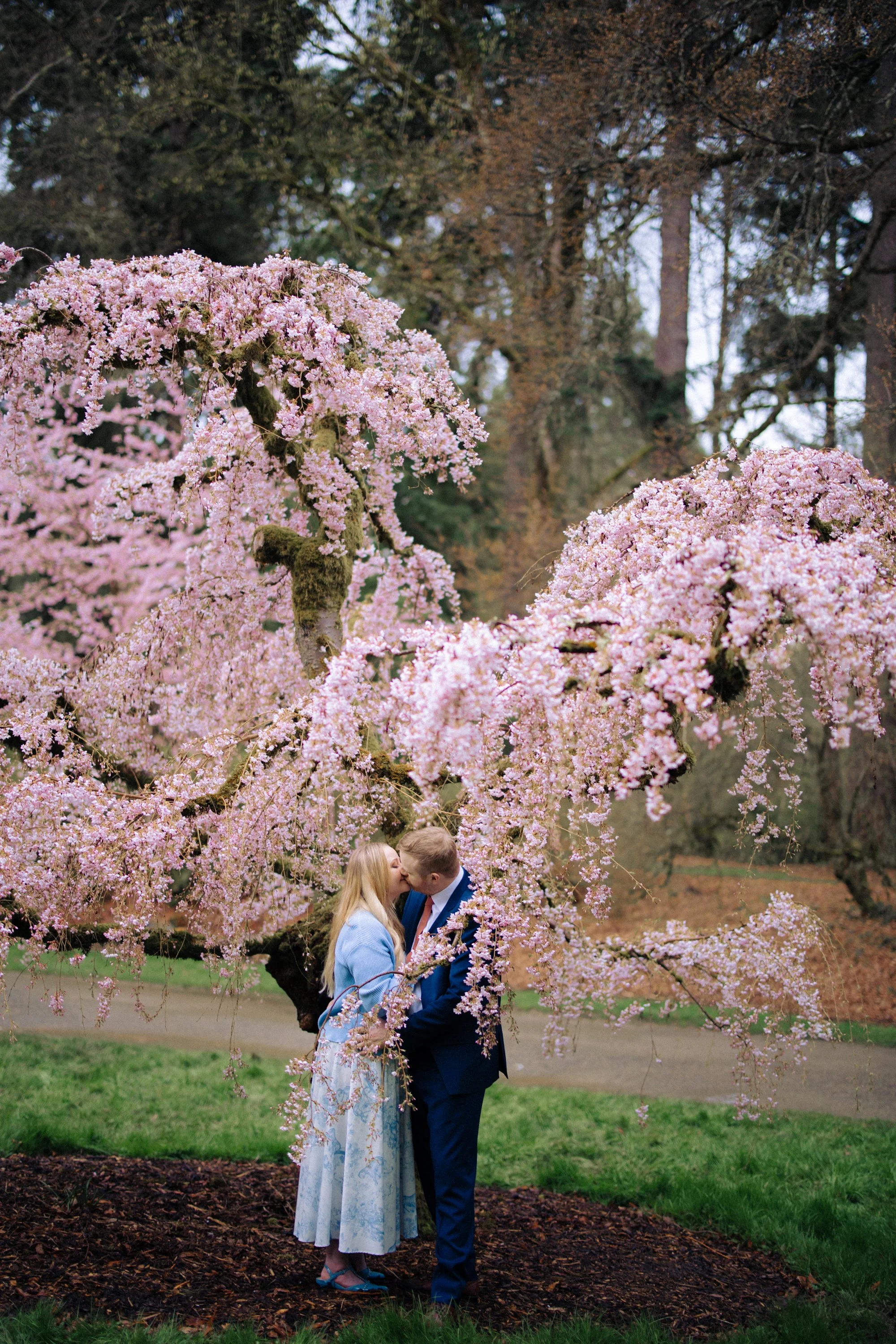 seattle-cherry-blossom-engagement -17.jpg