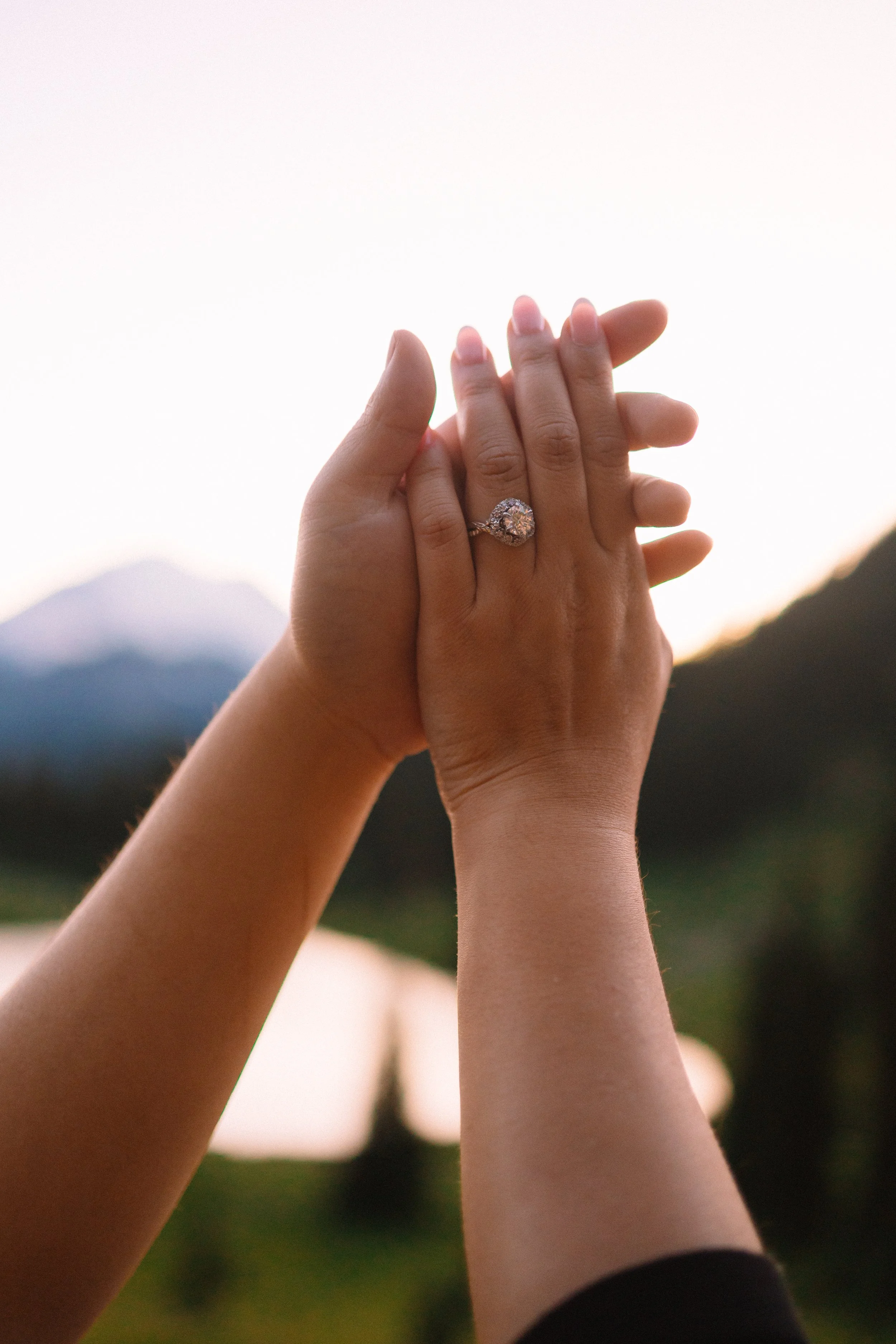 mt.rainier-engagement-session-sandy+james 112.jpg