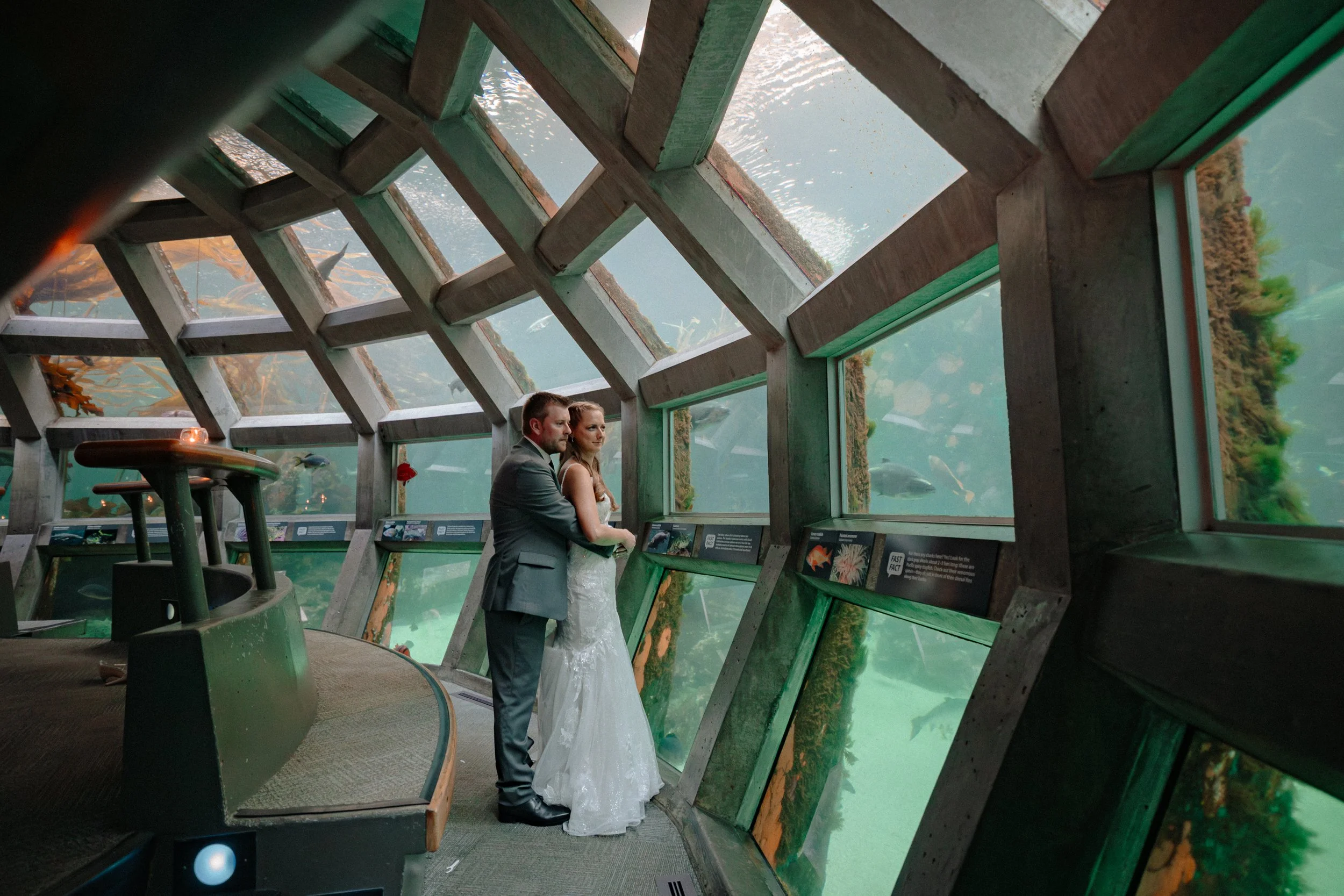 Wedding portraits inside the Seattle Aquarium underwater gallery.