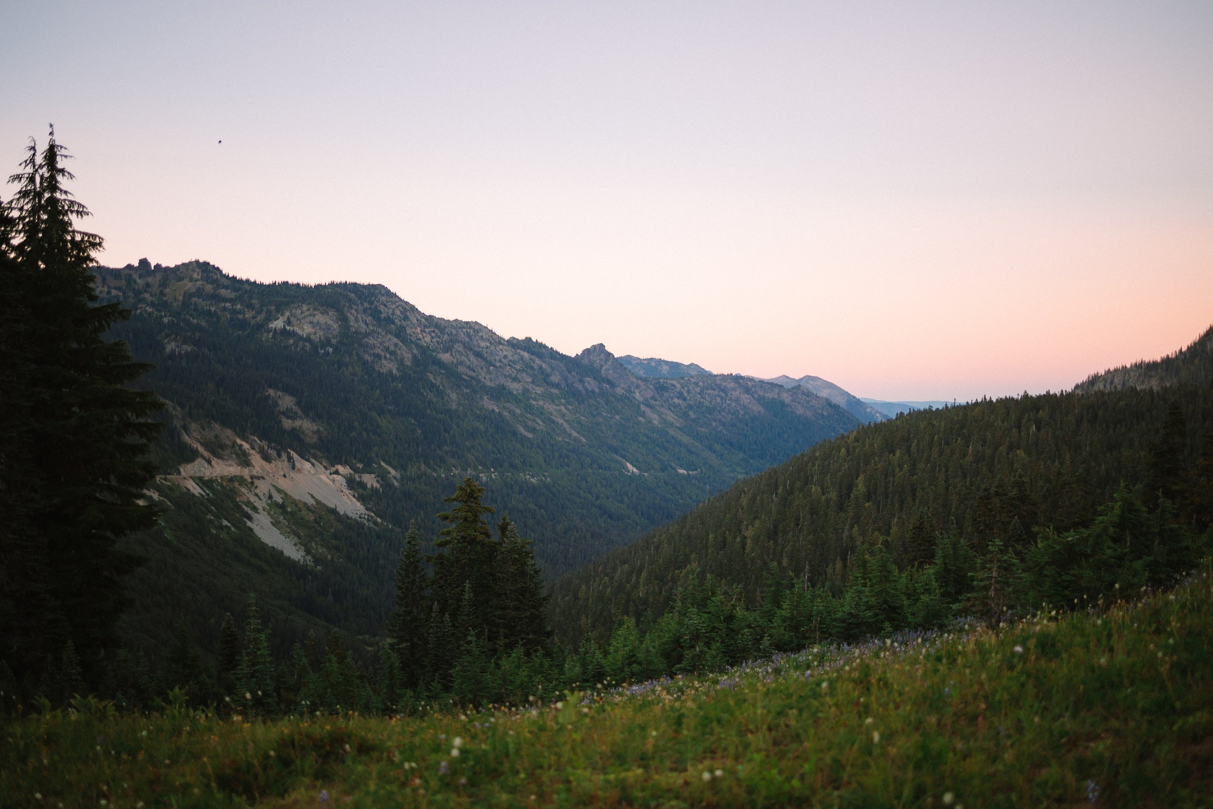 mt.rainier-engagement-session-sandy+james 73.jpg
