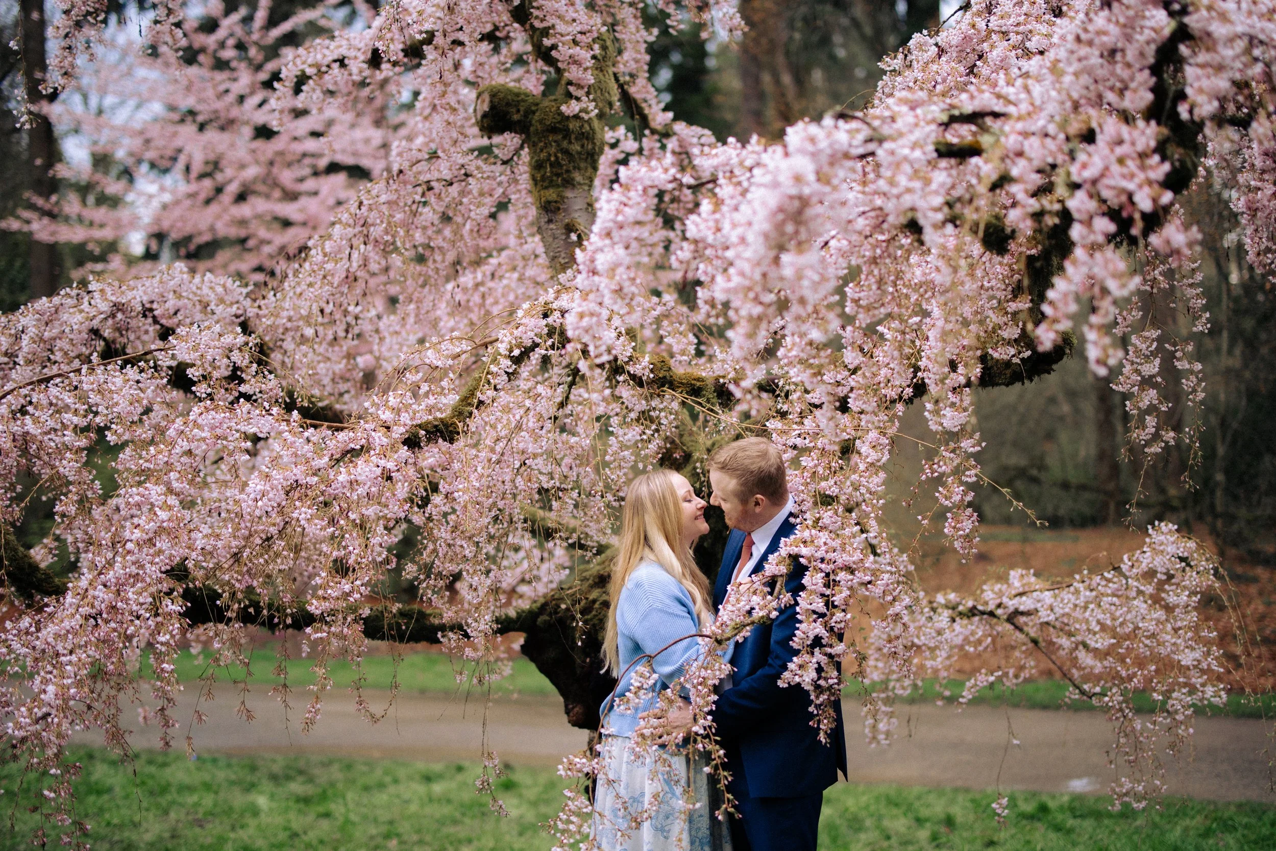 Cherry Blossoms Engagement Session