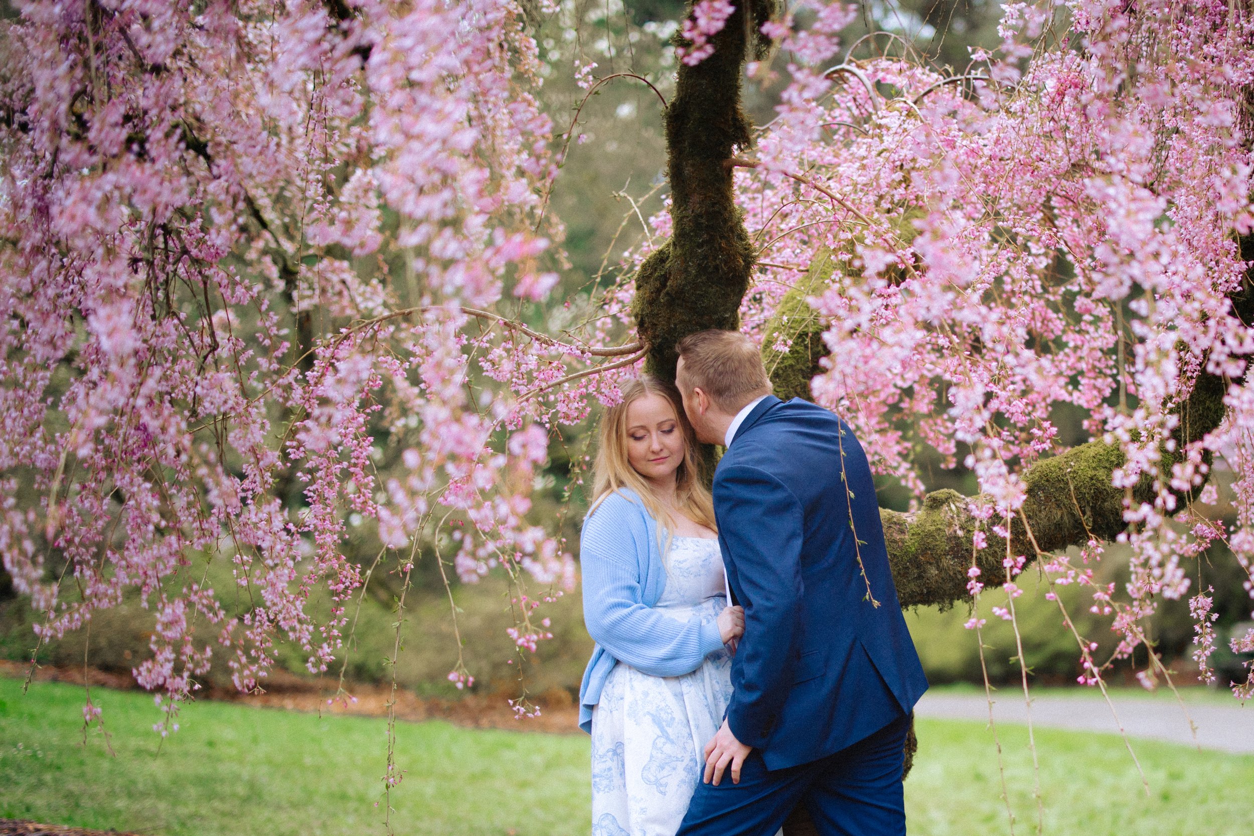 seattle-cherry-blossom-engagement -38.jpg