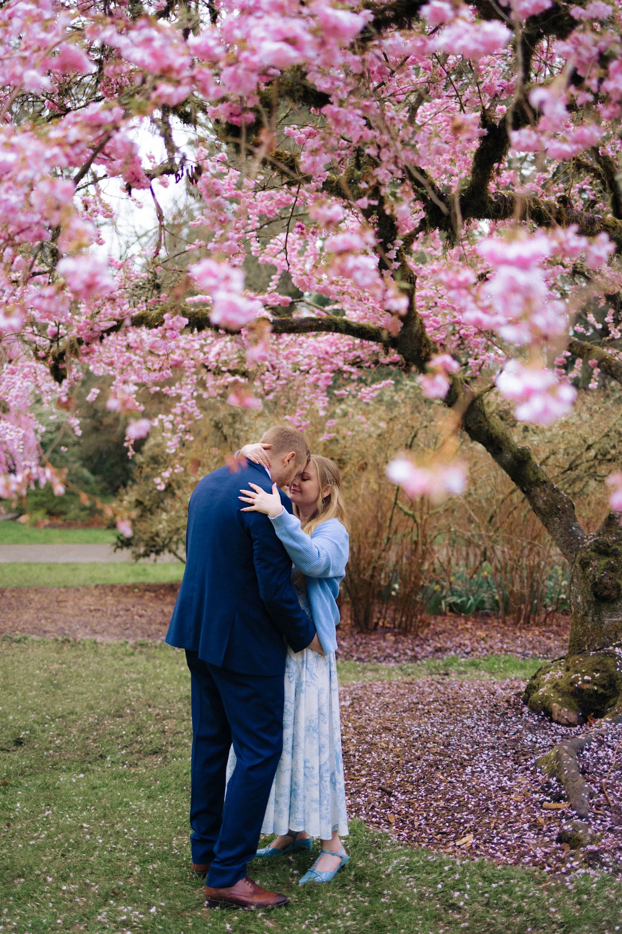 seattle-cherry-blossom-engagement -31.jpg