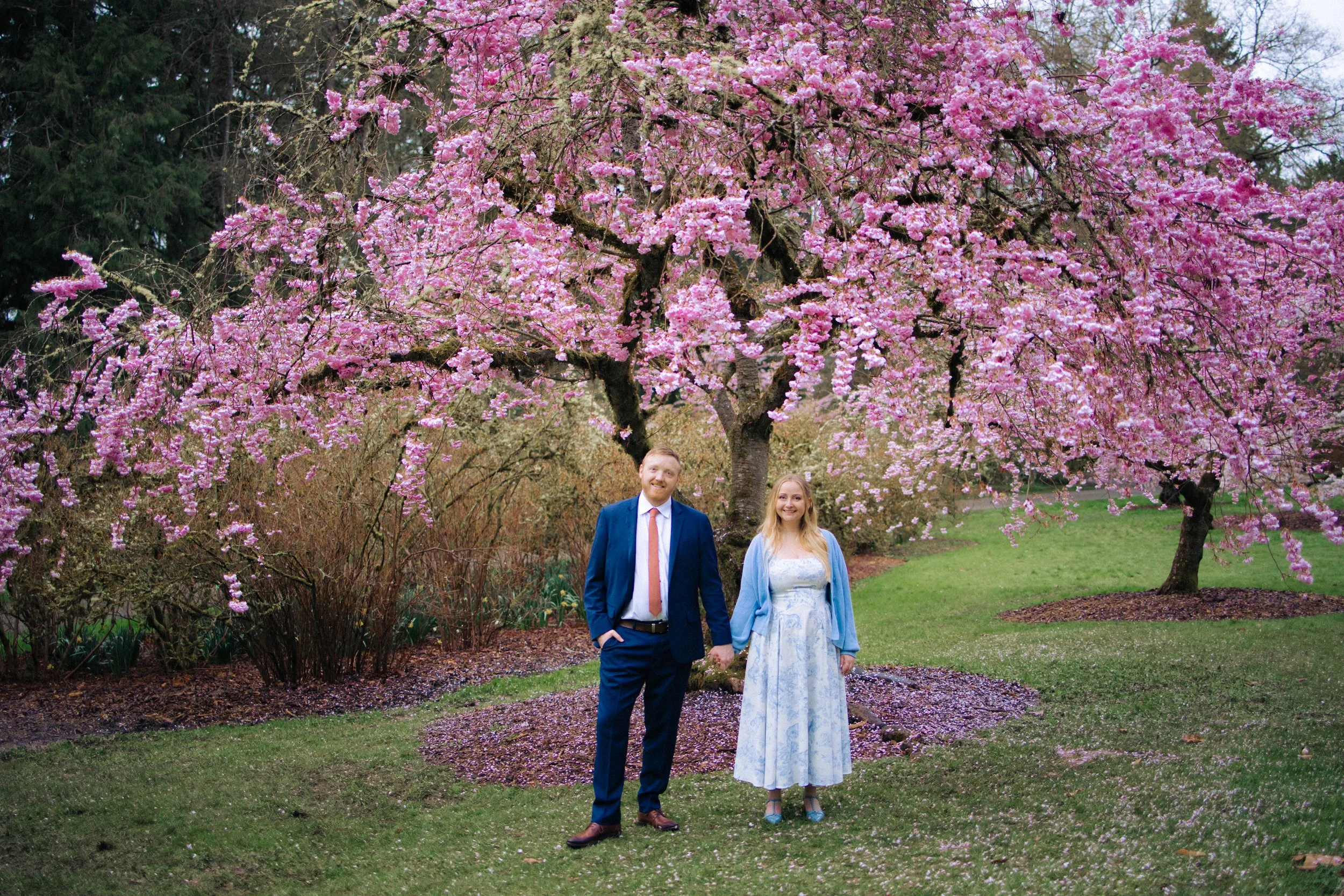 seattle-cherry-blossom-engagement -25.jpg