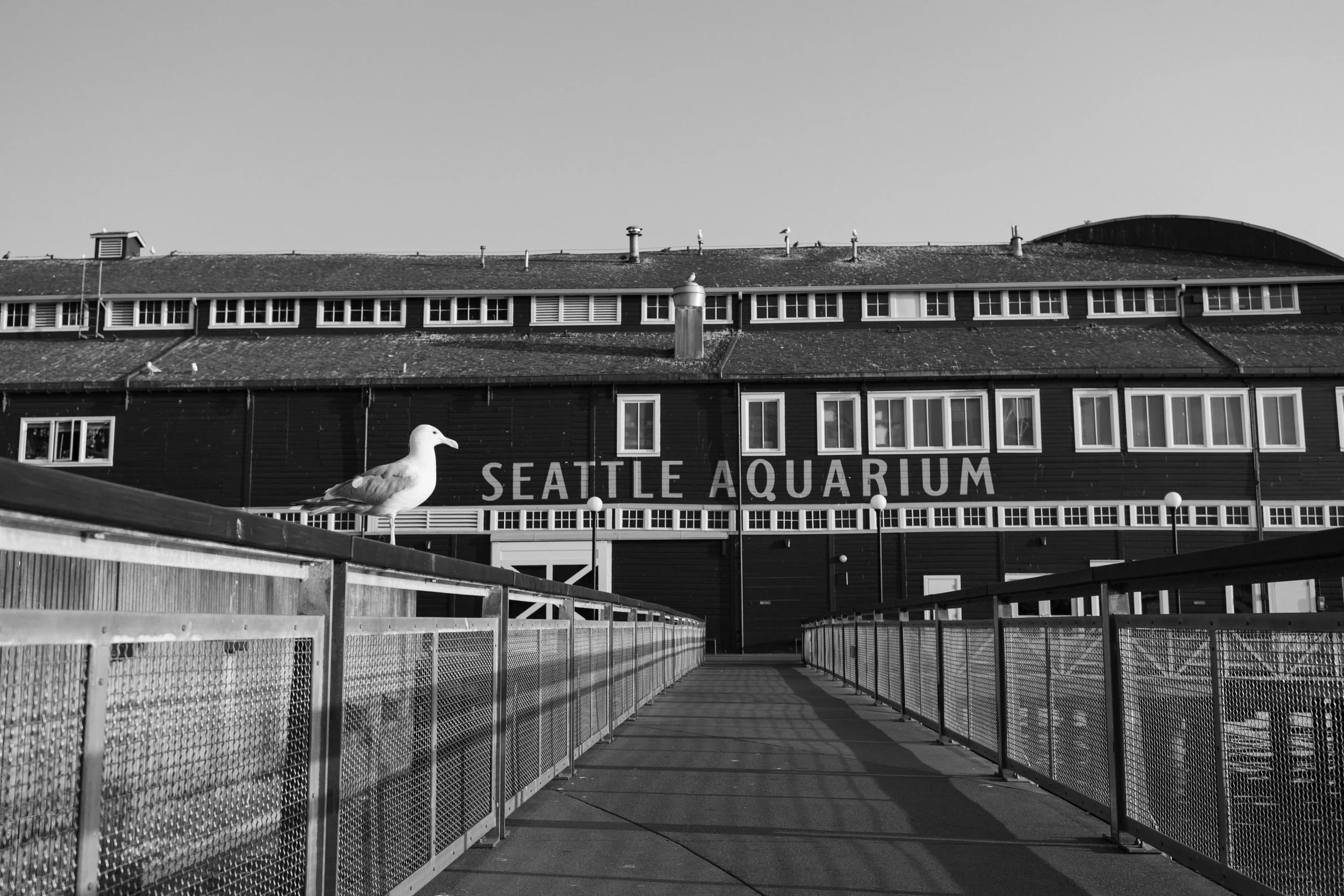 Seattle Aquarium Building.