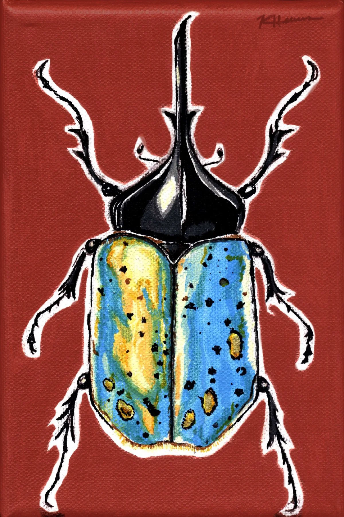 beetle.jpg