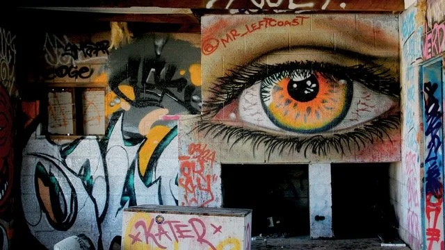 Mr_LeftCoast at Bombay Beach.jpeg