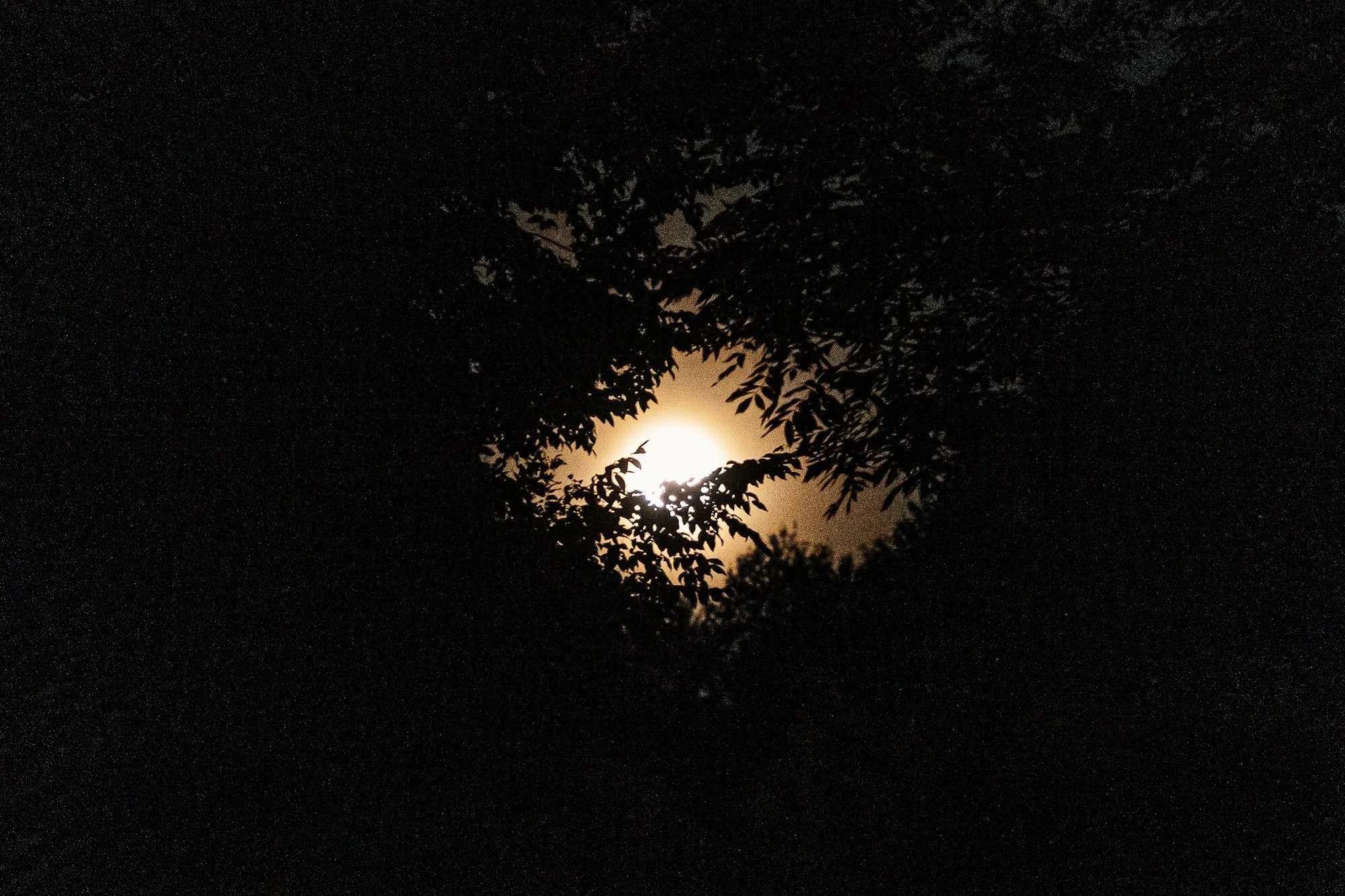 self care bliss camp-38.jpg