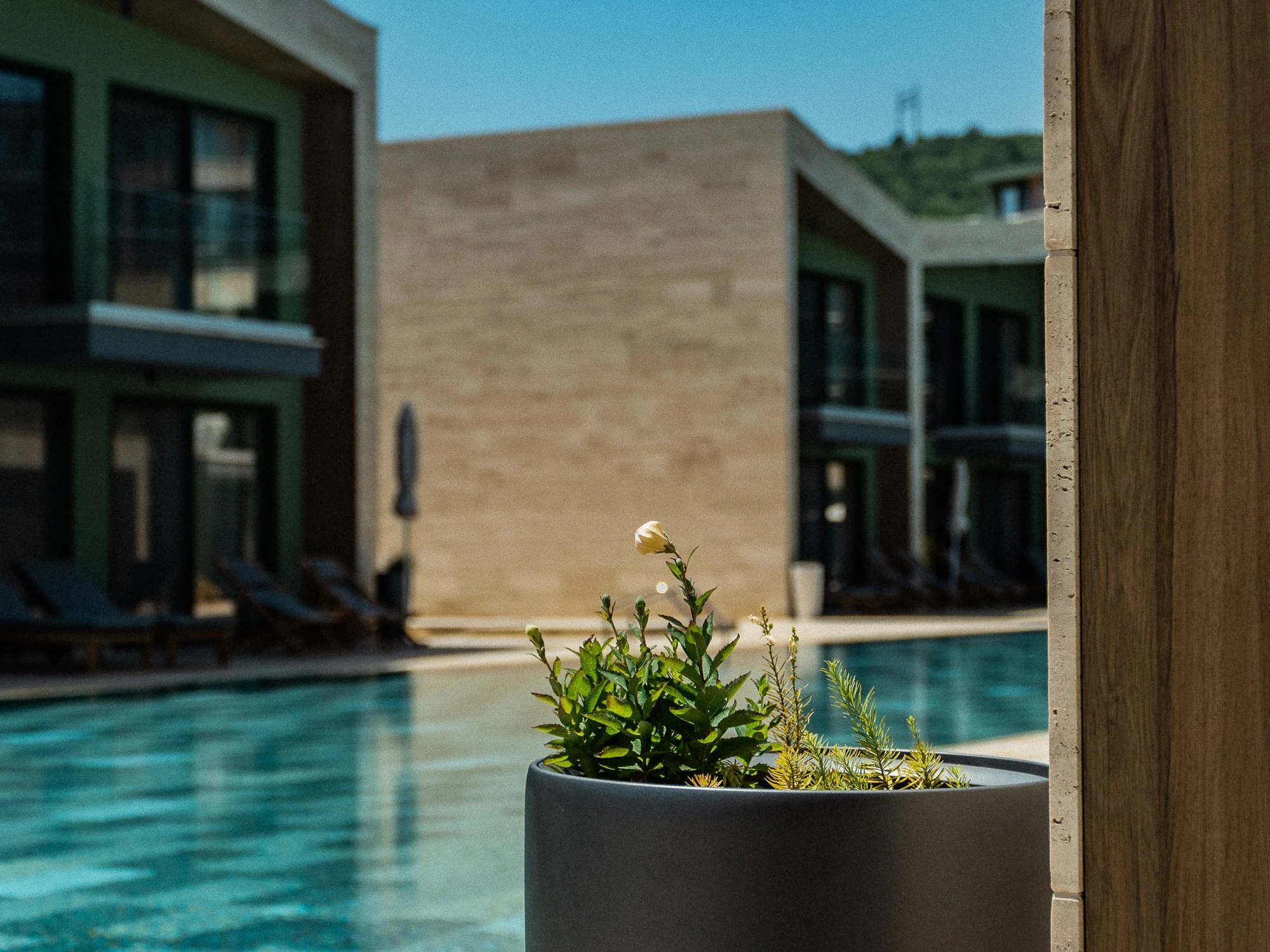 reina del mar-16.jpg