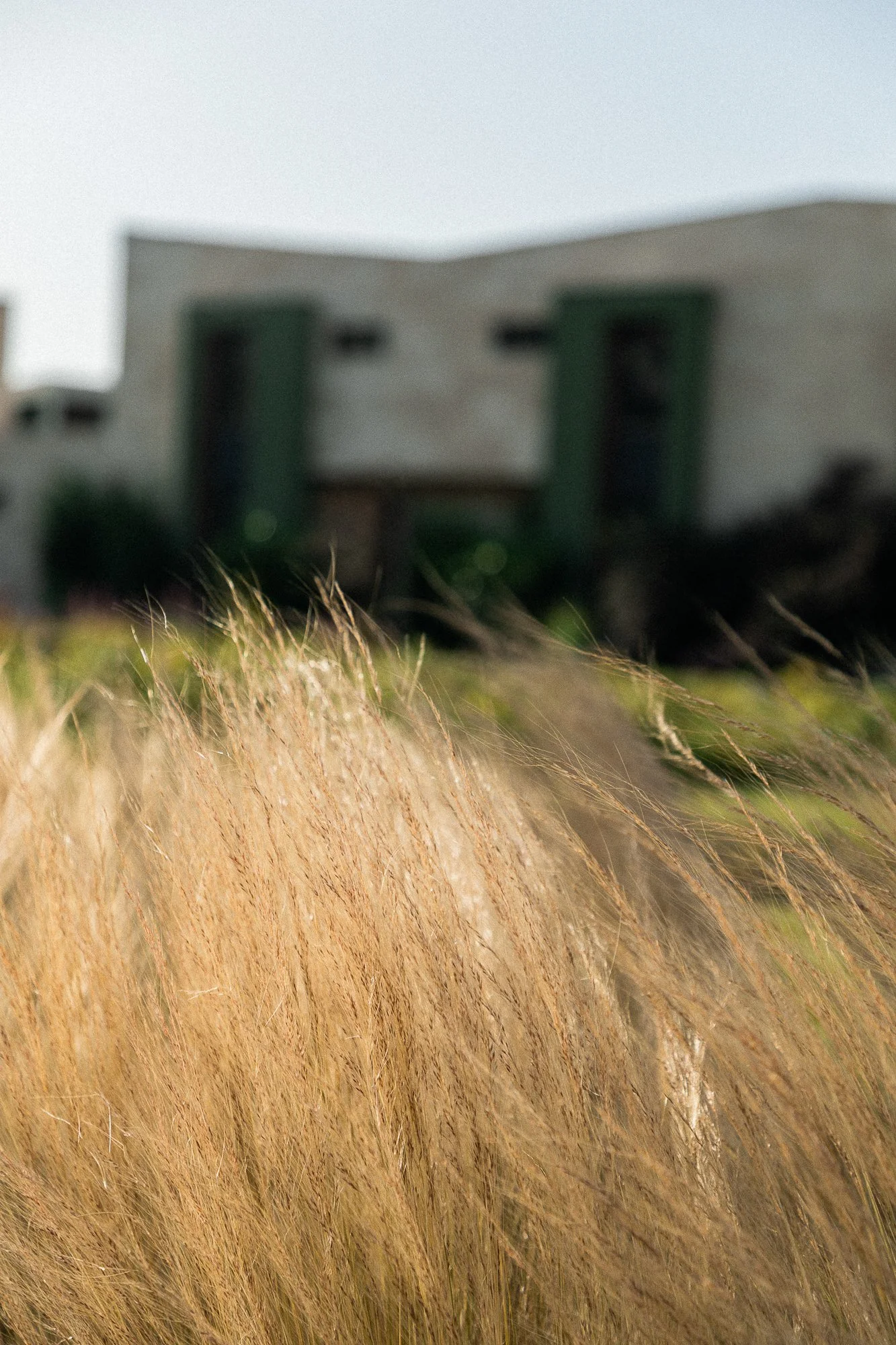 reina del mar-31.jpg