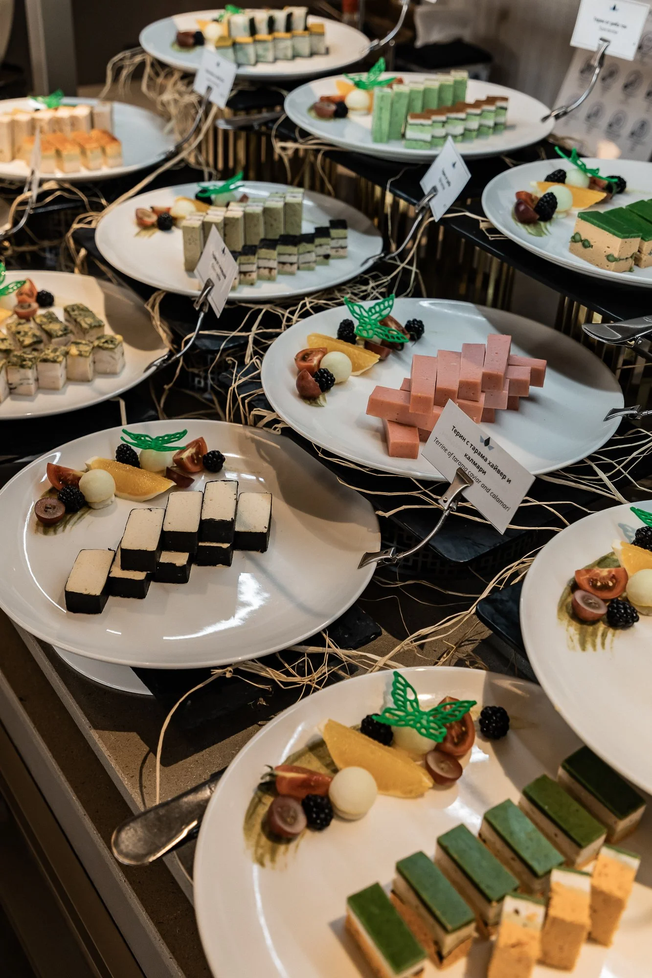 reina del mar-24.jpg