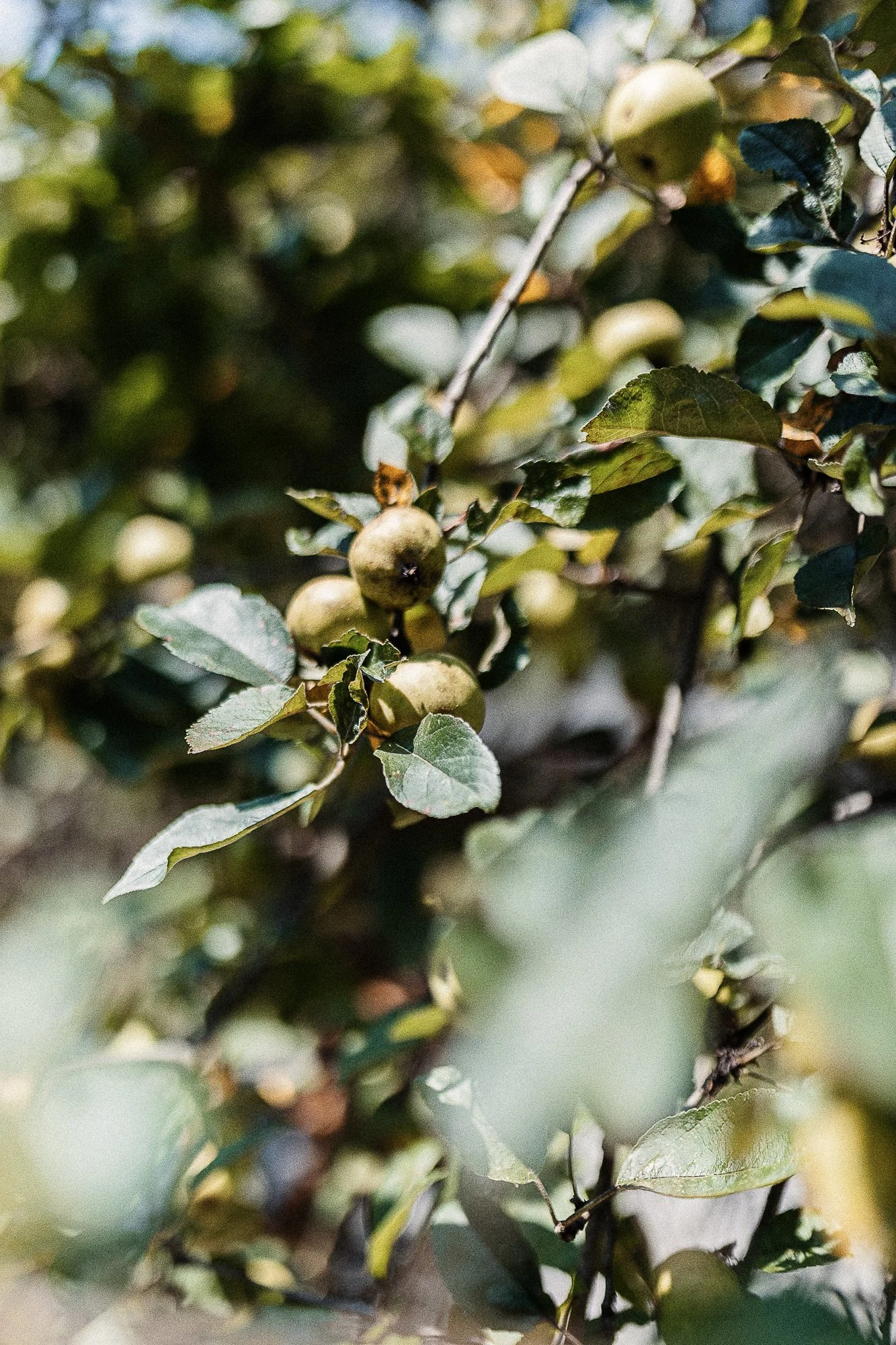 self care bliss camp-85.jpg