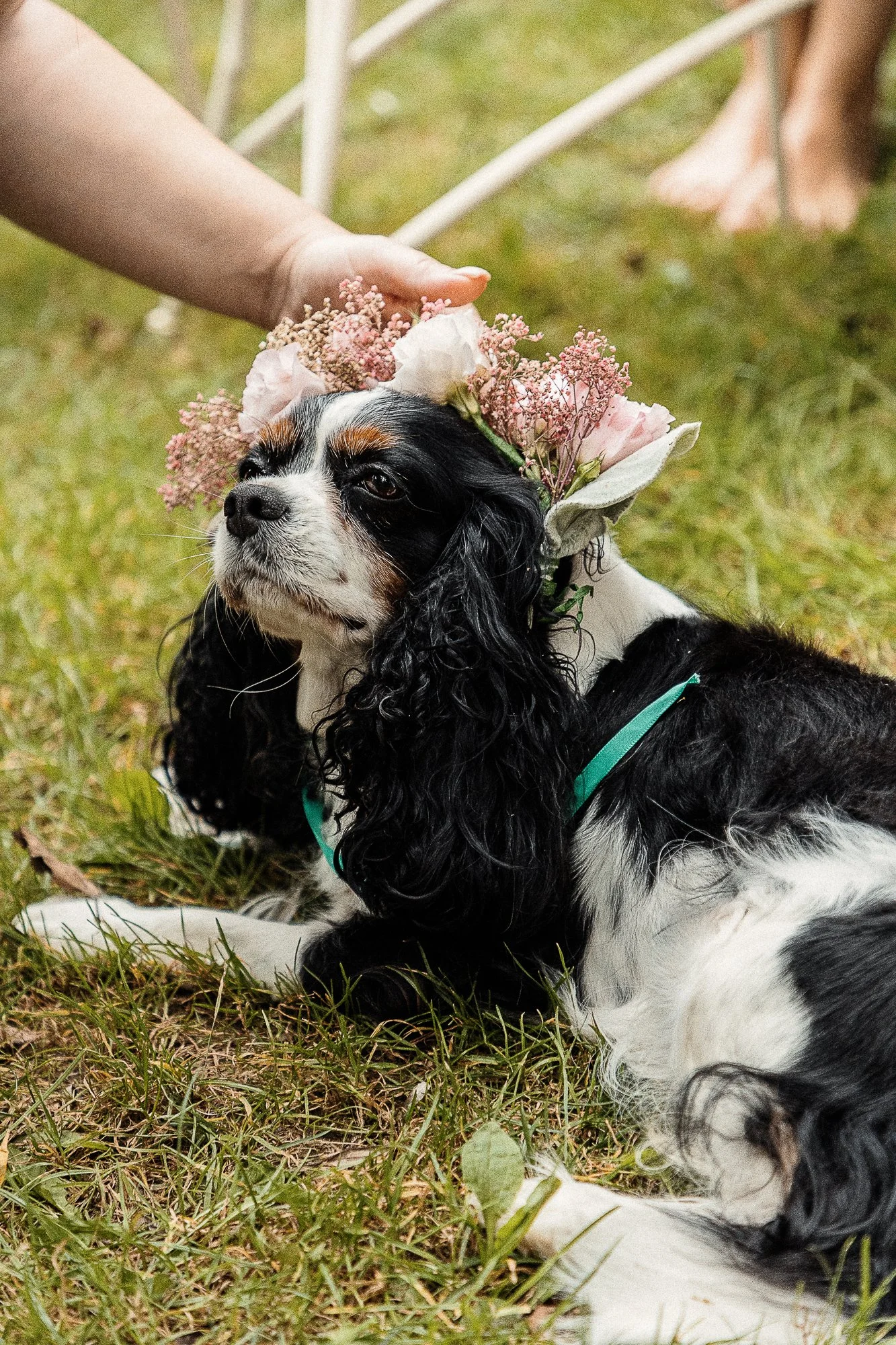 self care bliss camp-60.jpg