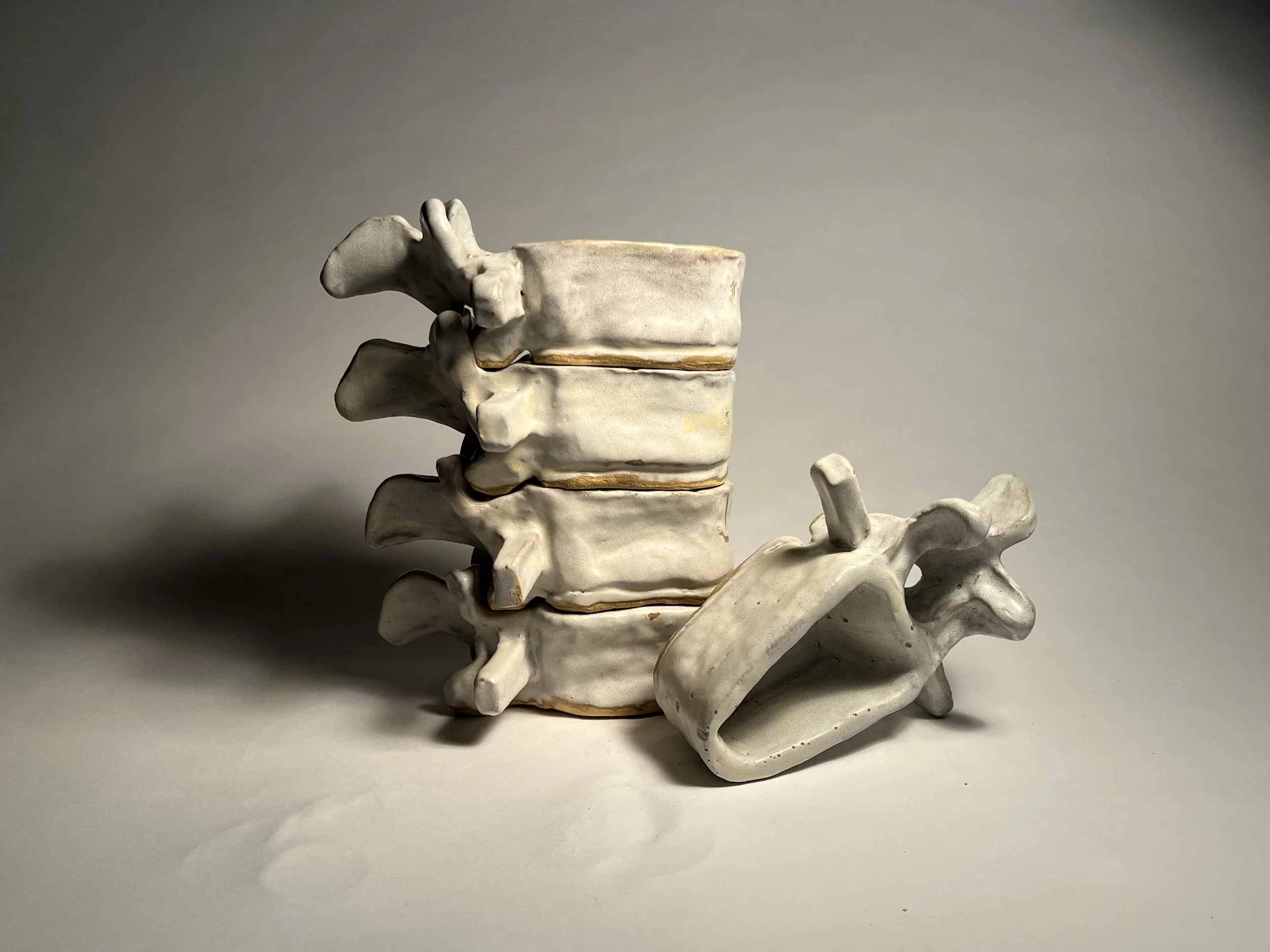 Vertebrae Sculpture 