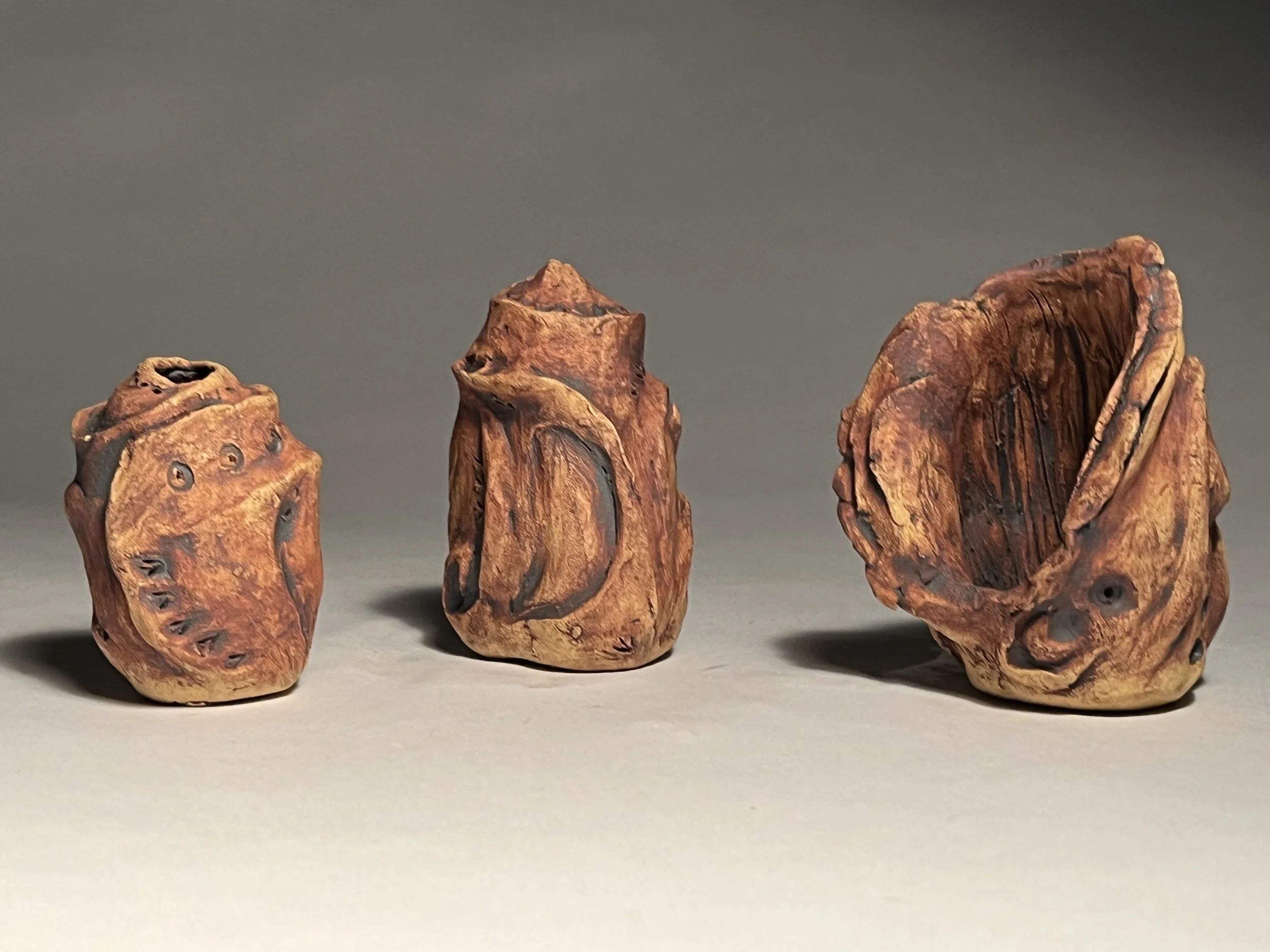 Shedding Home Sculpture 