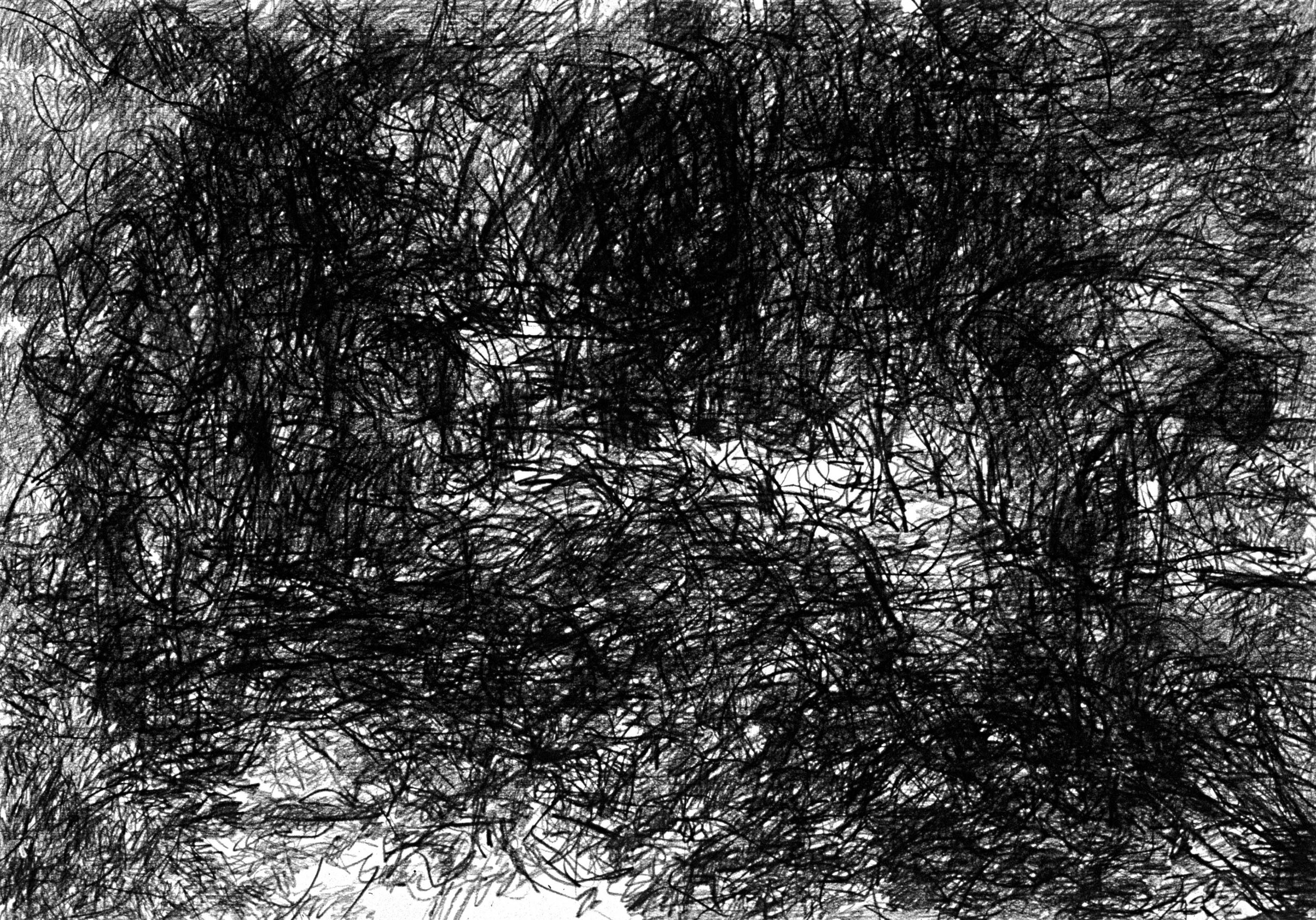 Peru, 1985, black Conte on paper, 27.5" x 39.4"