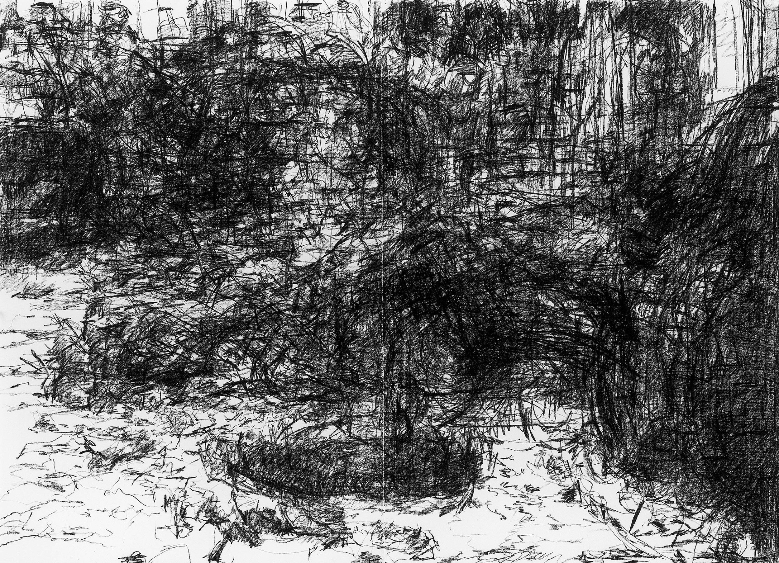 Palermo, 1985, black Conte on paper, 27.5" x 39.4"