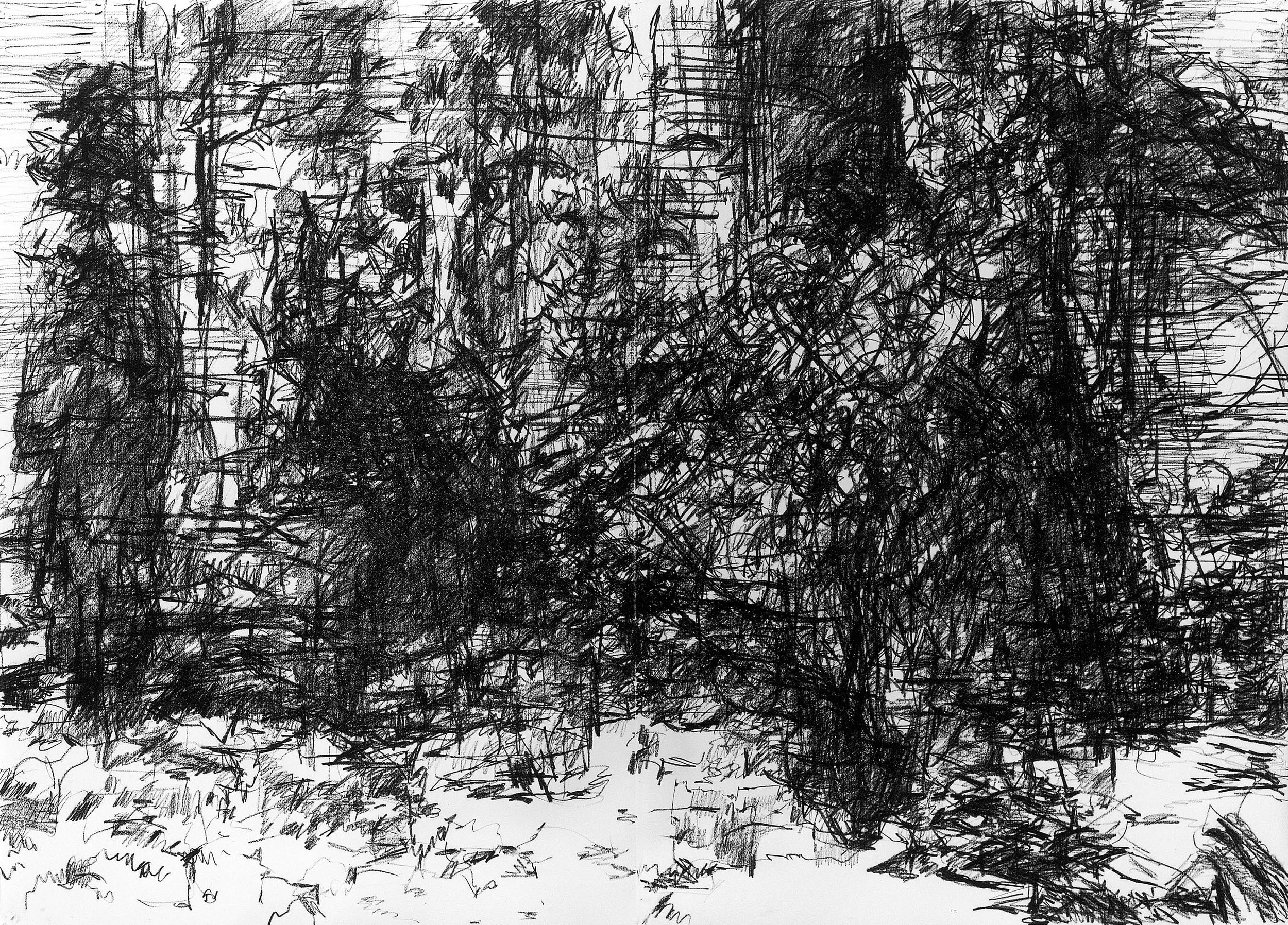 Budapest, 1985, black Conte on paper, 27.5" x 39.4"