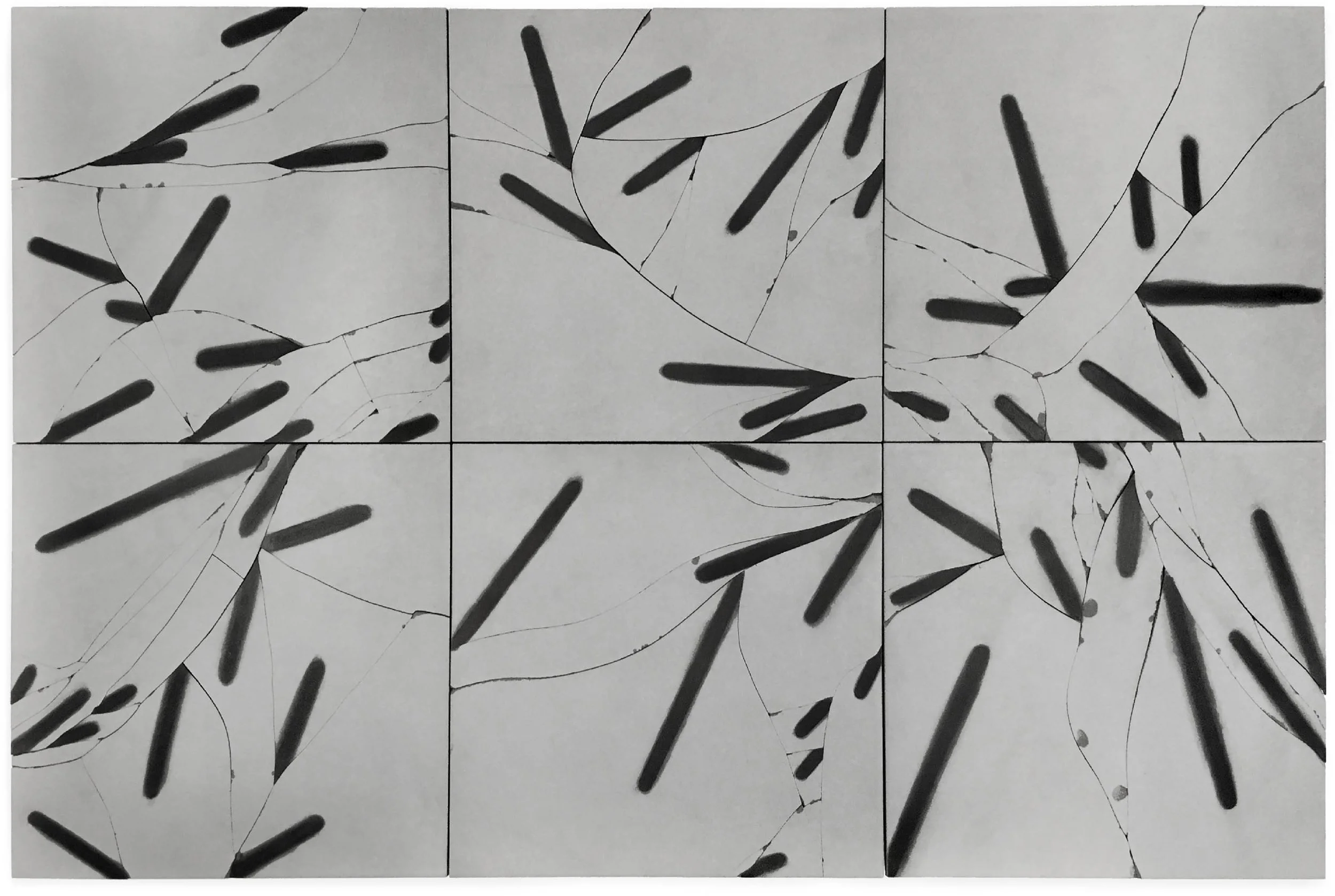 Eye Sites/Reprieve, 2006, broken, fired porcelain tile with graphite, 36" x 54"