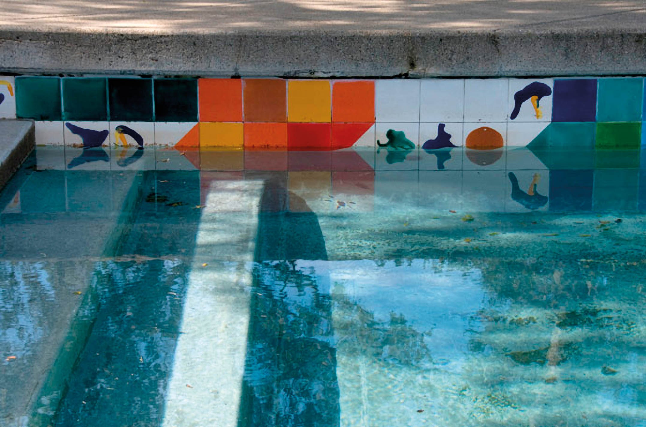 Untitled (Oliver Ranch Pool) detail