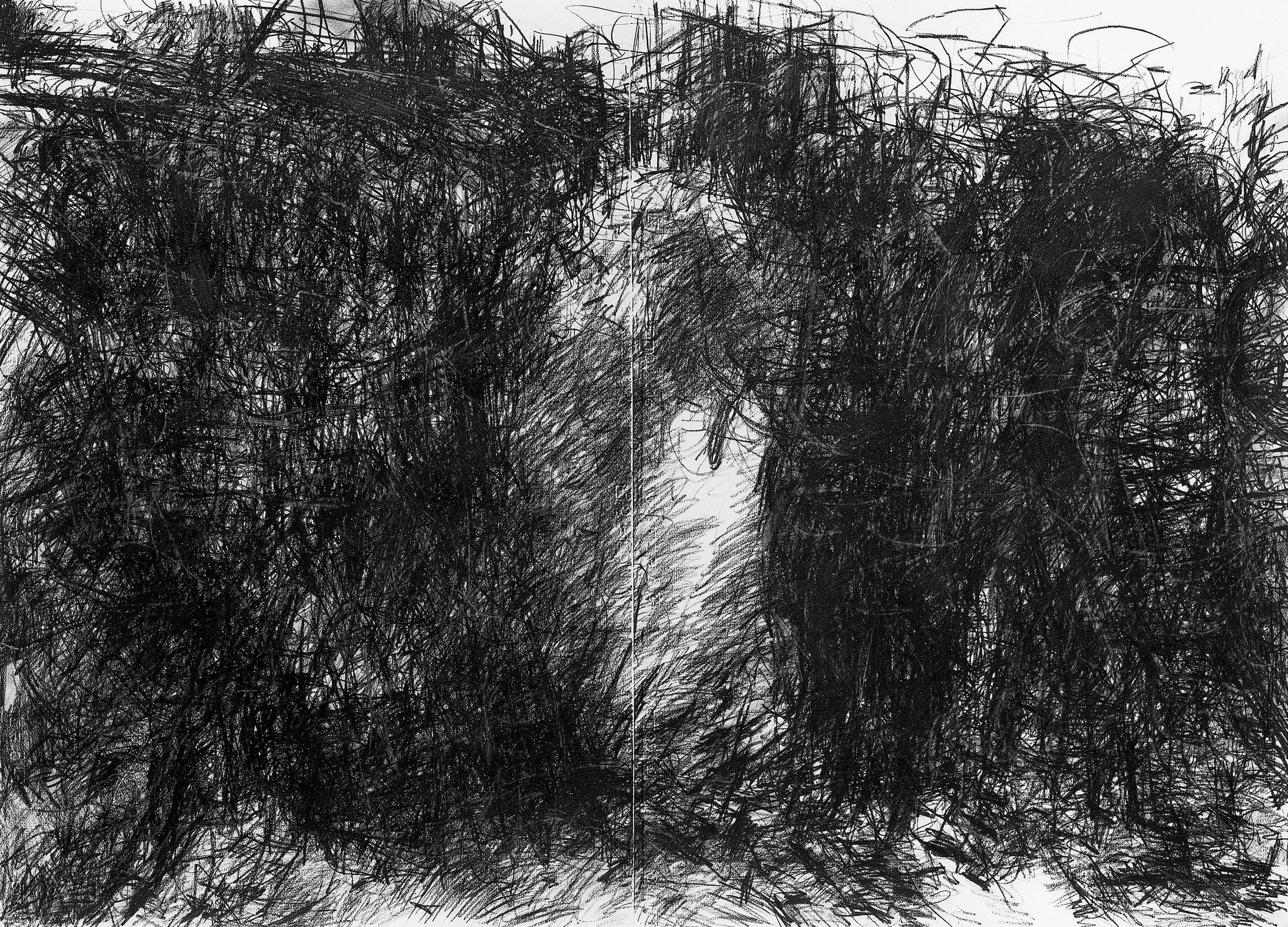 Lebanon, 1985, black Conte on paper, 27.5" x 39.4"