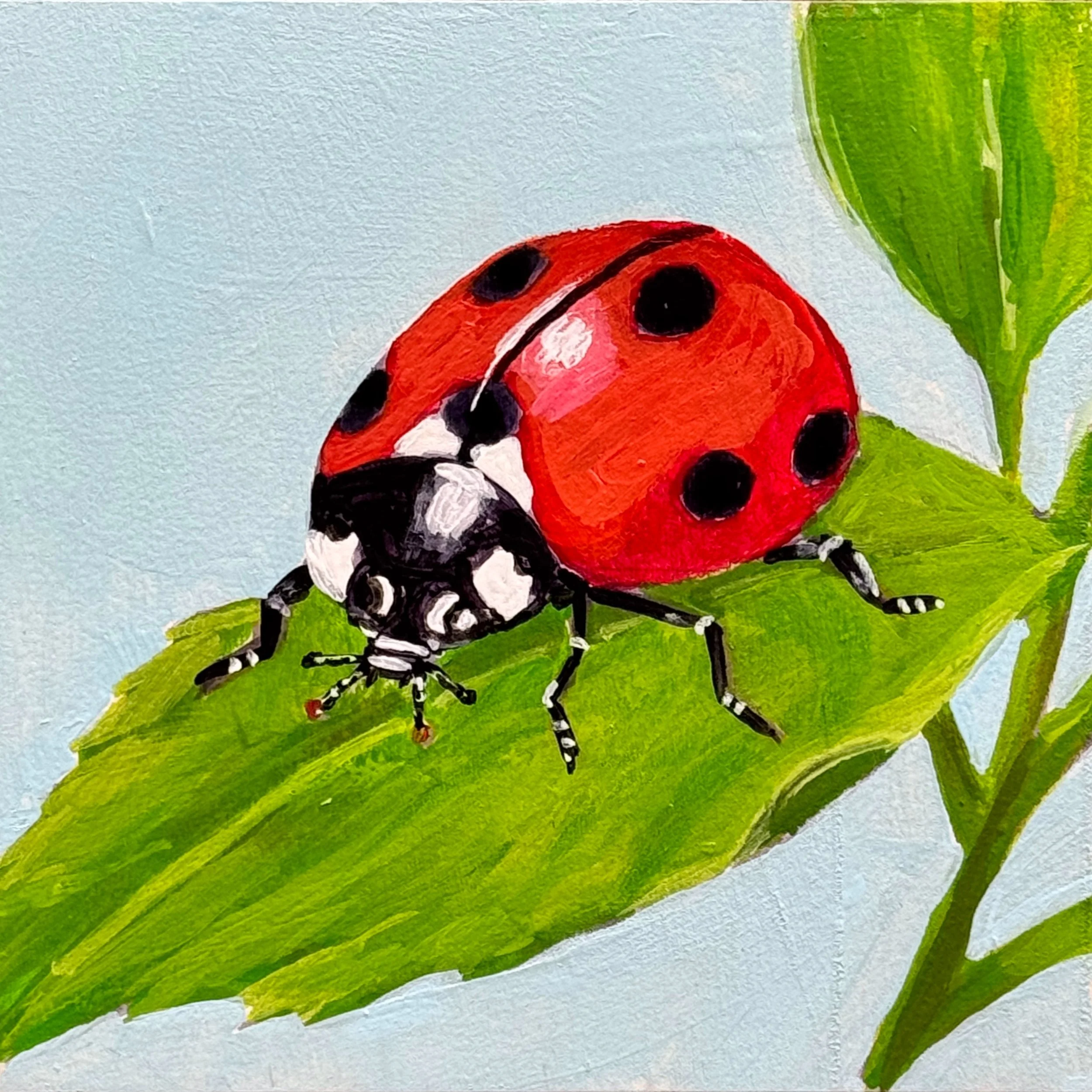 Ting Joy 28 Lady Bug