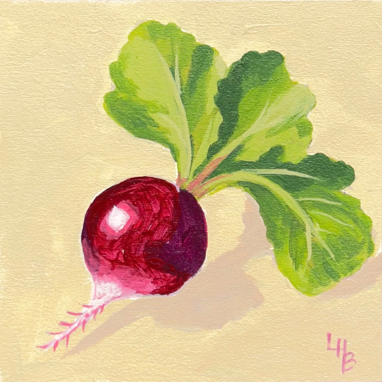 Tiny Joy 26 Radish